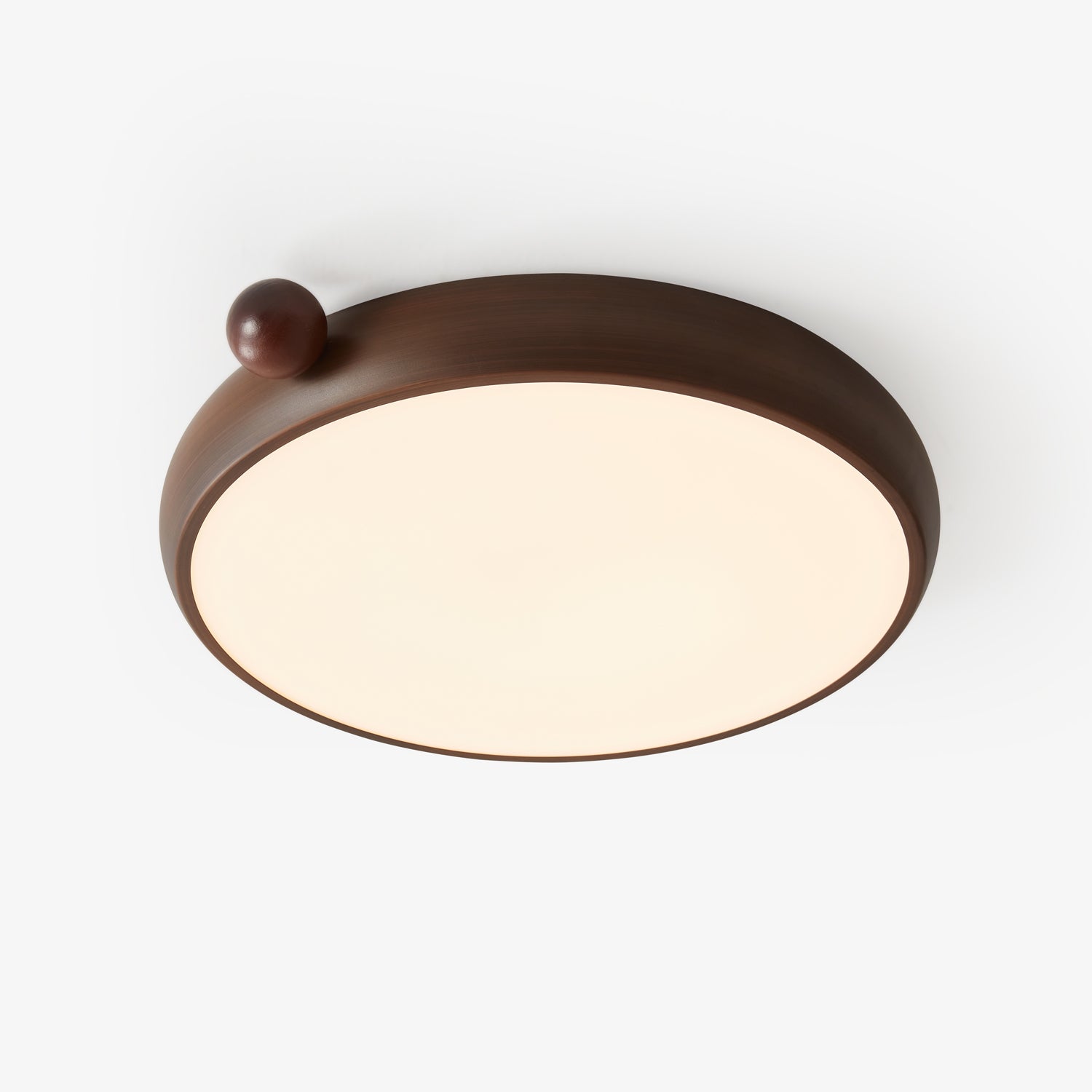 Lecaniva Ceiling Light