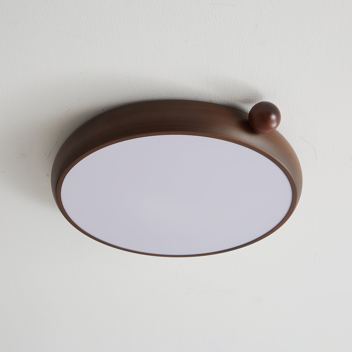 Lecaniva Ceiling Light