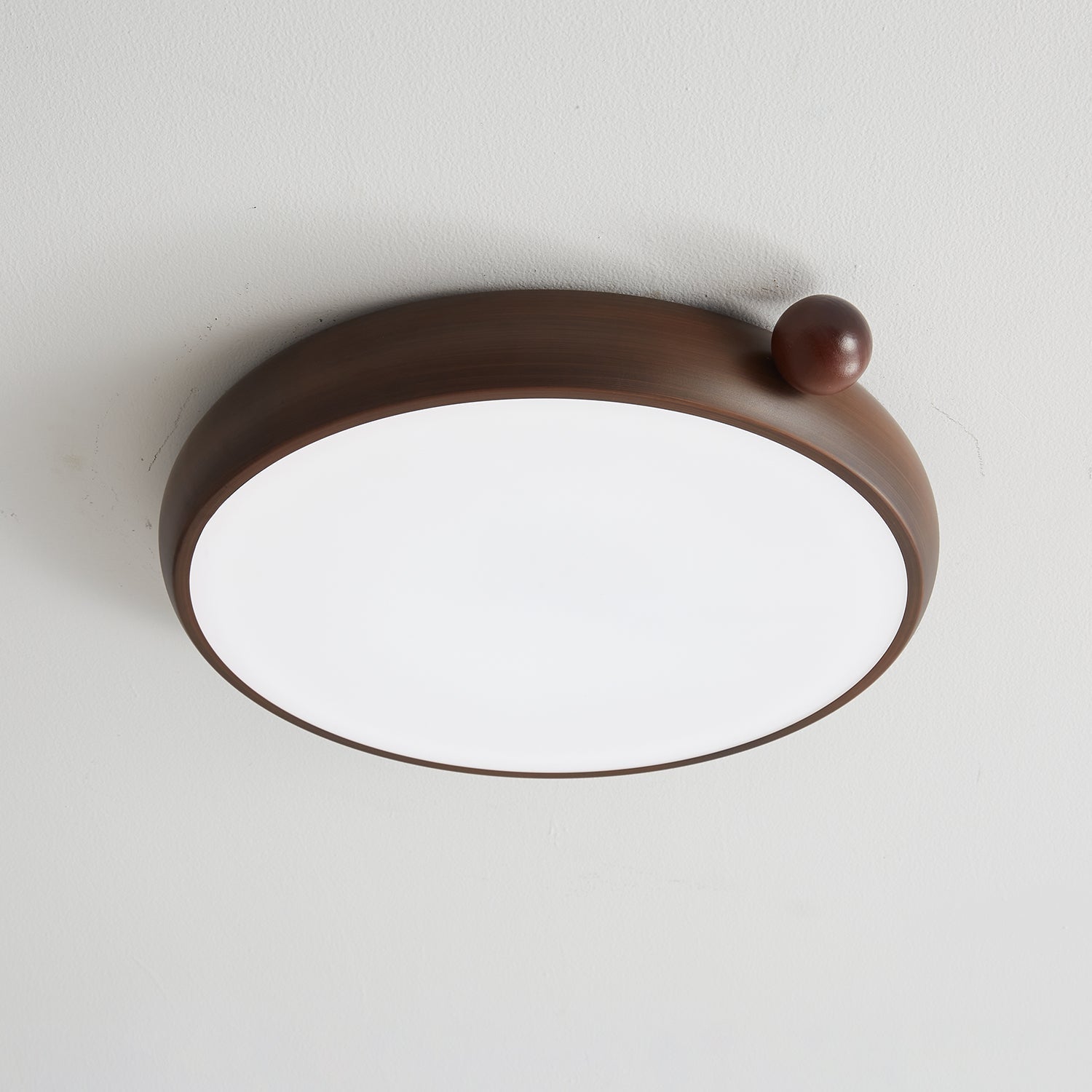 Lecaniva Ceiling Light