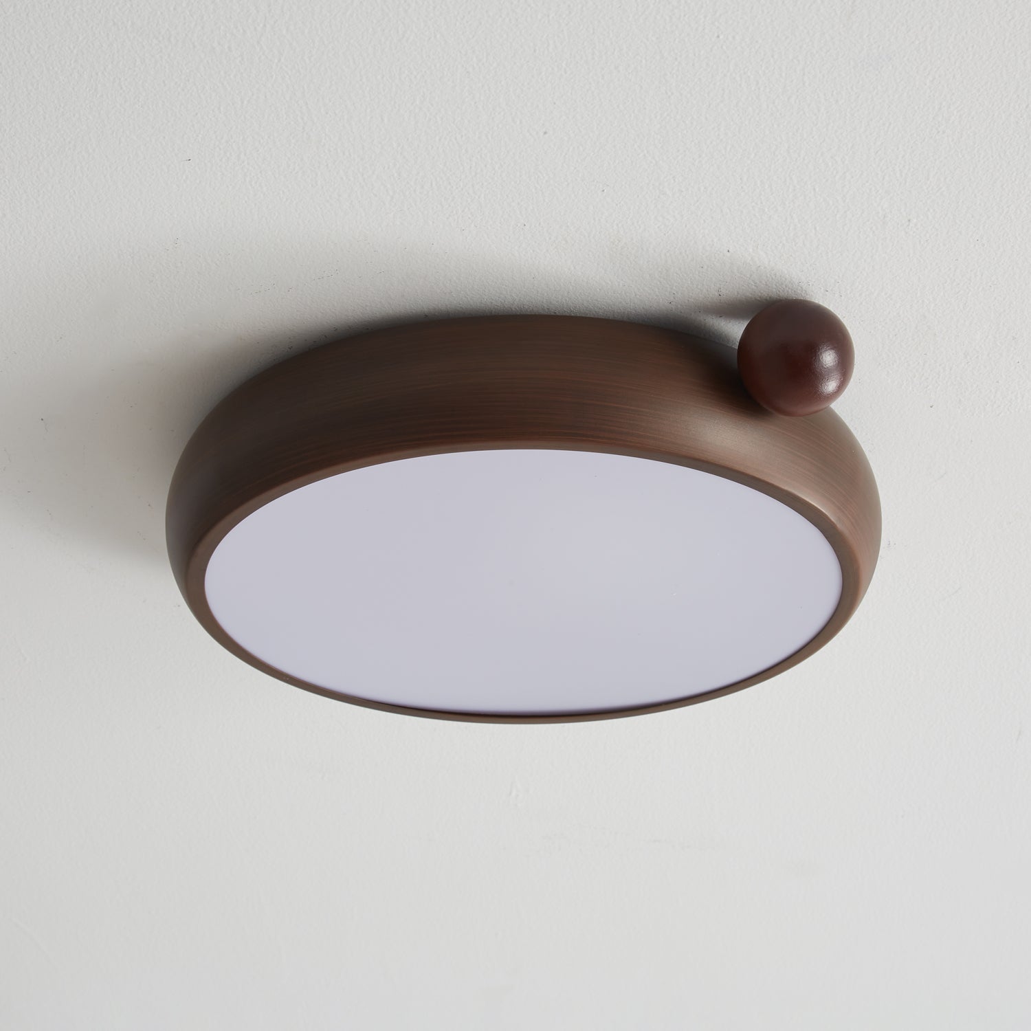 Lecaniva Ceiling Light