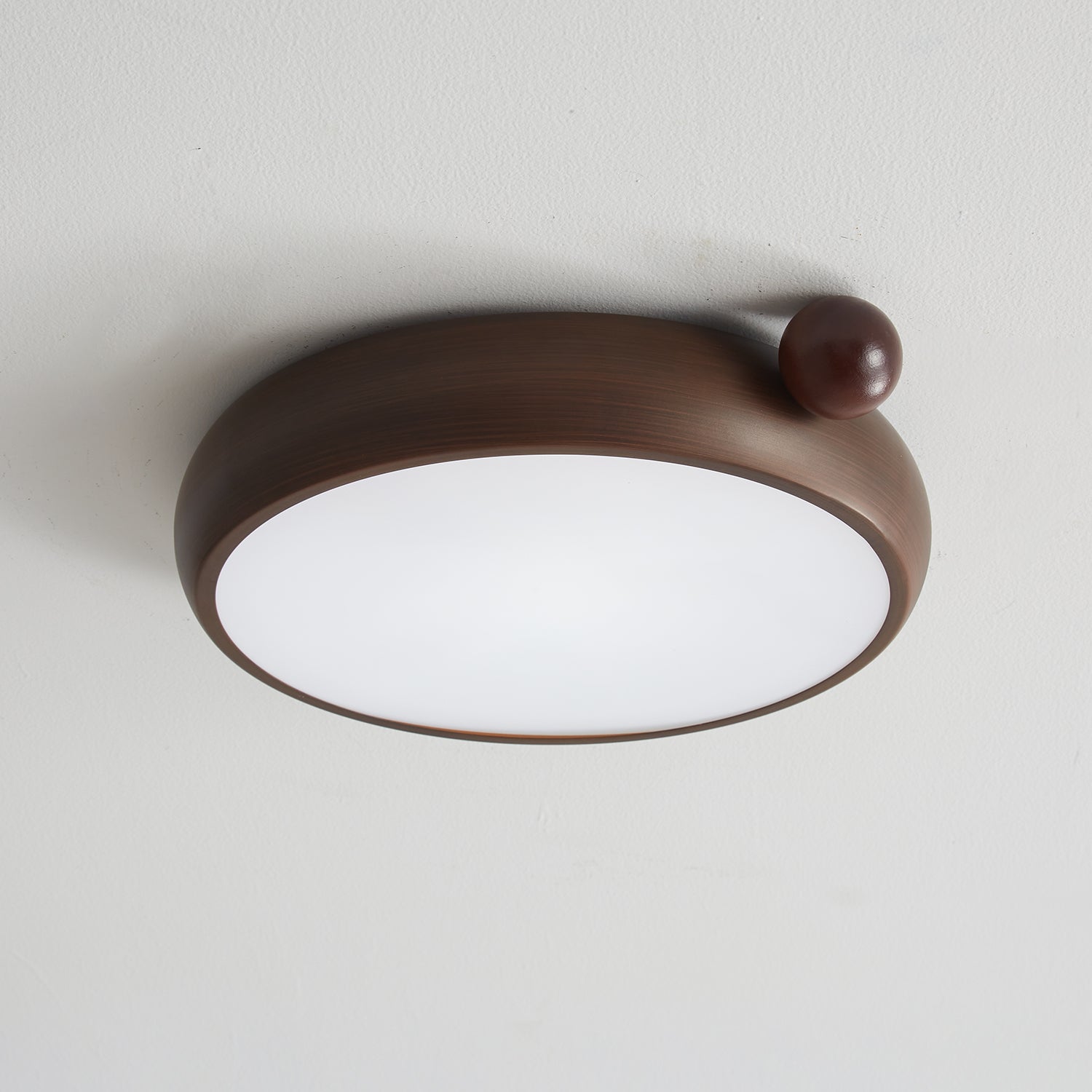 Lecaniva Ceiling Light