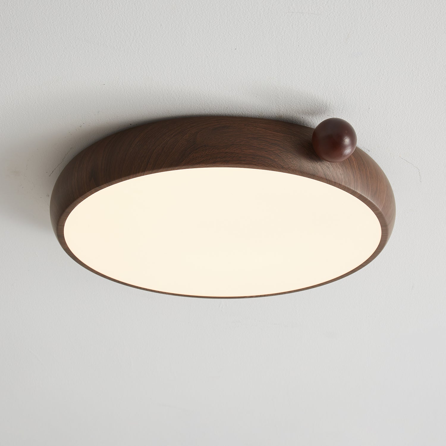 Lecaniva Ceiling Light