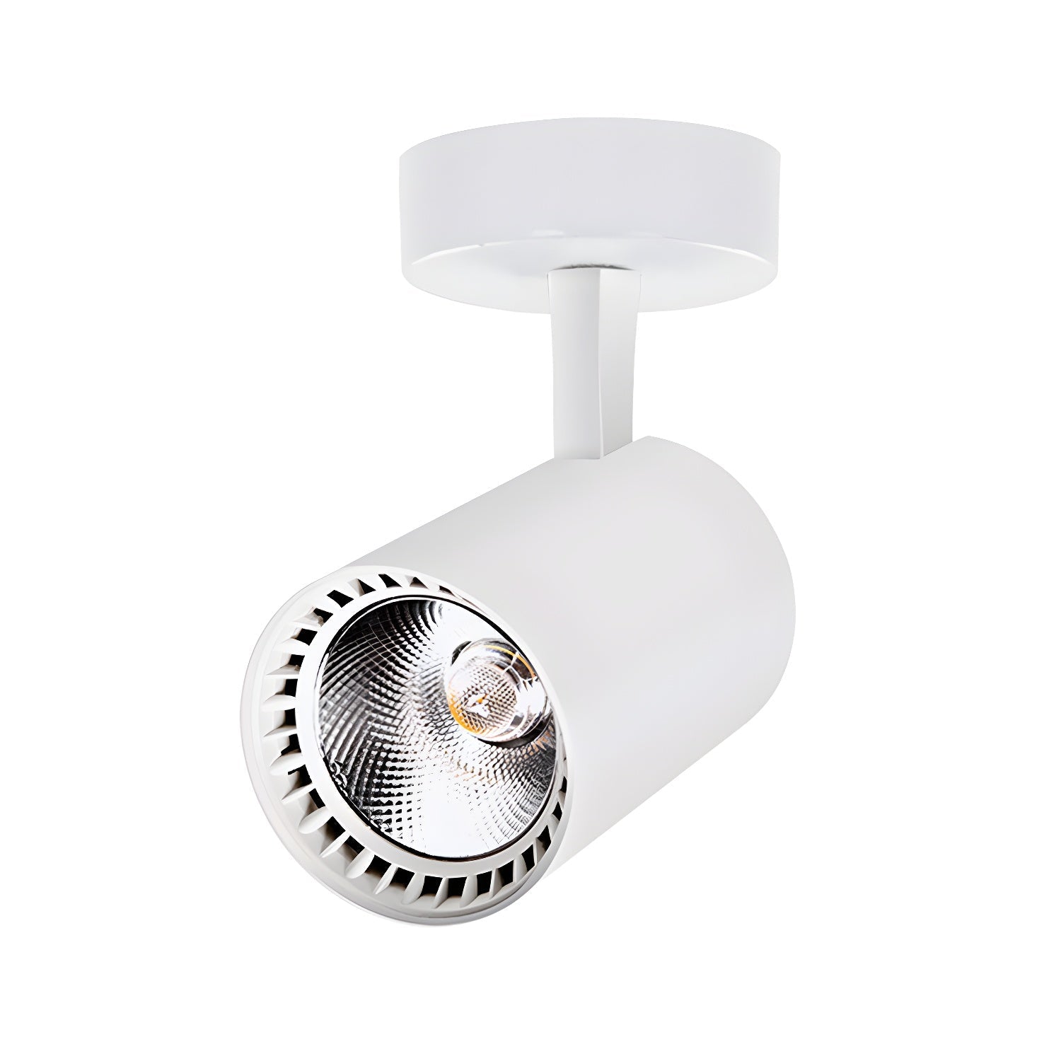 Domes Ceiling Light