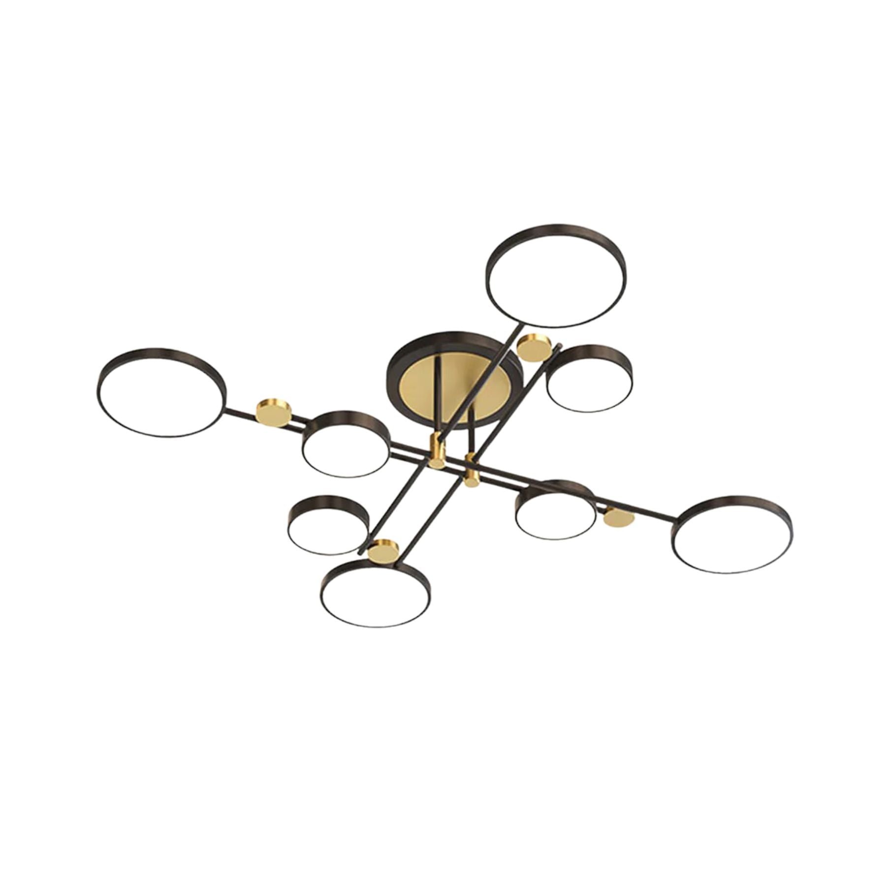 Selyz Ring Design Ceiling Light