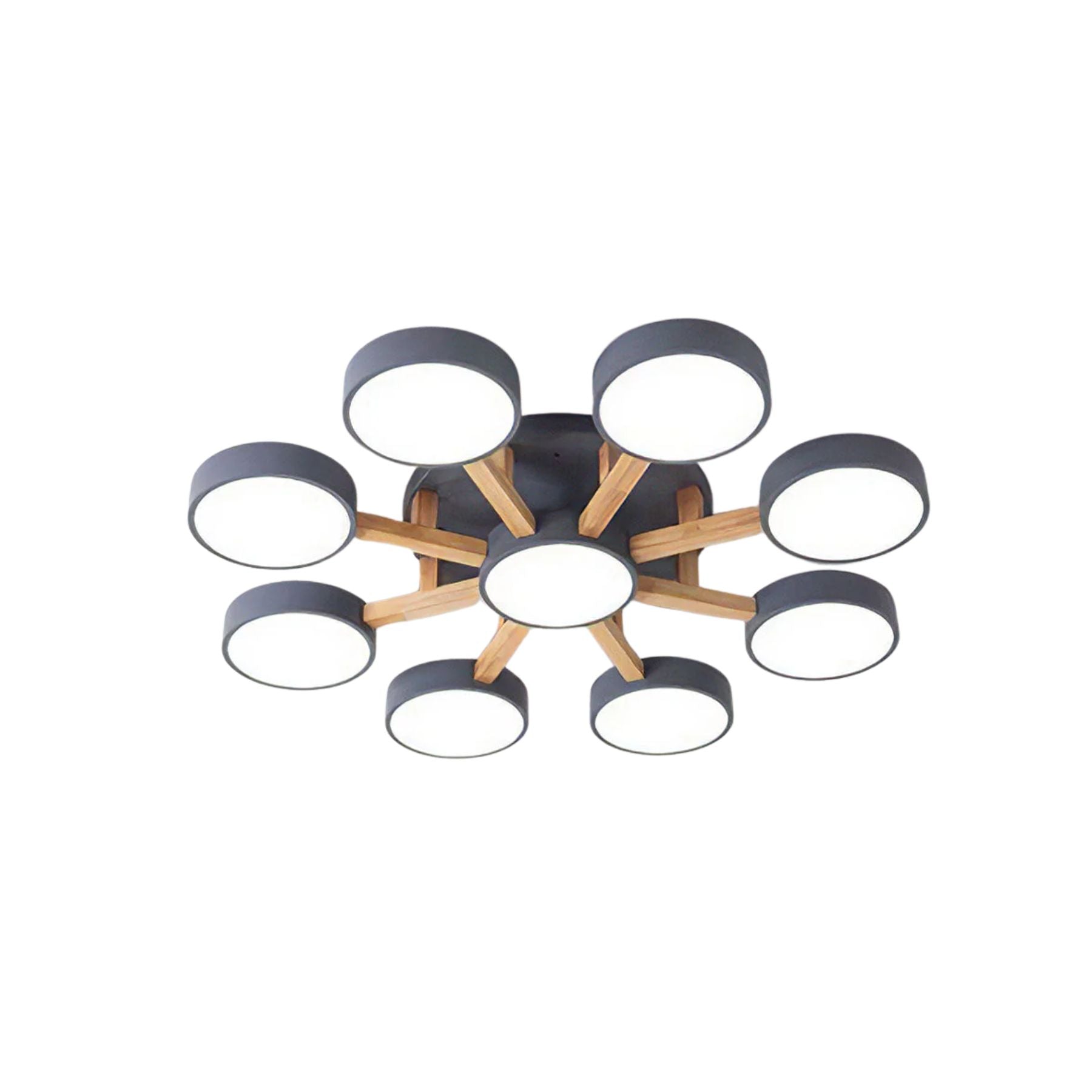 Finizaro Ceiling Light