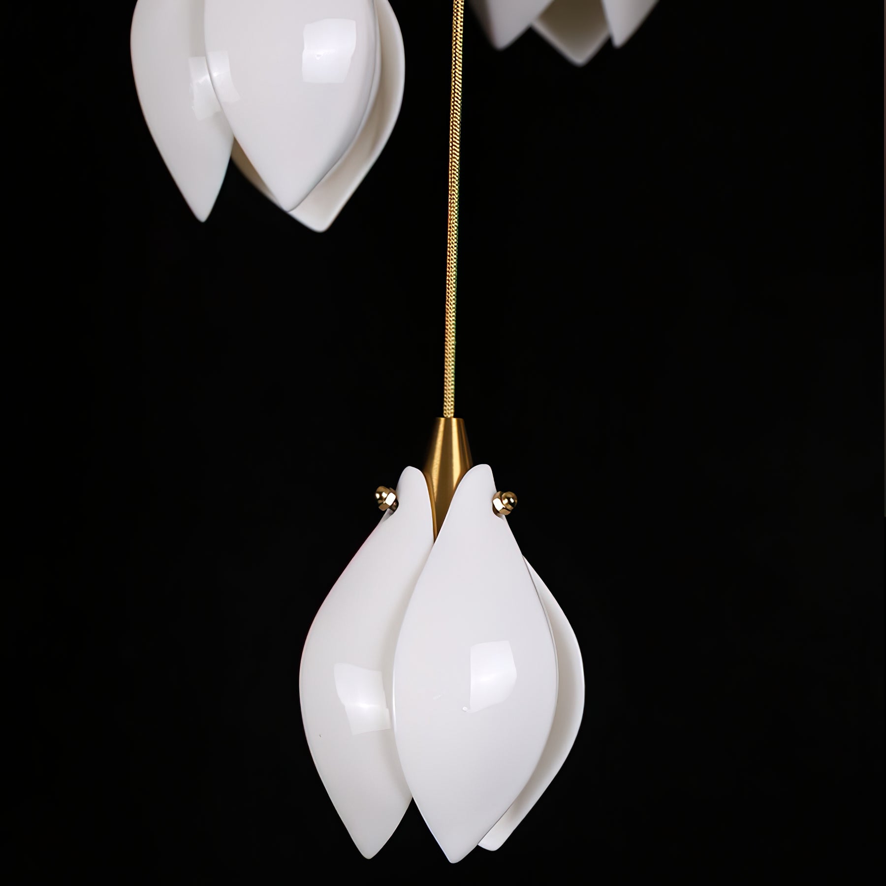 Gryvon Pendant Light