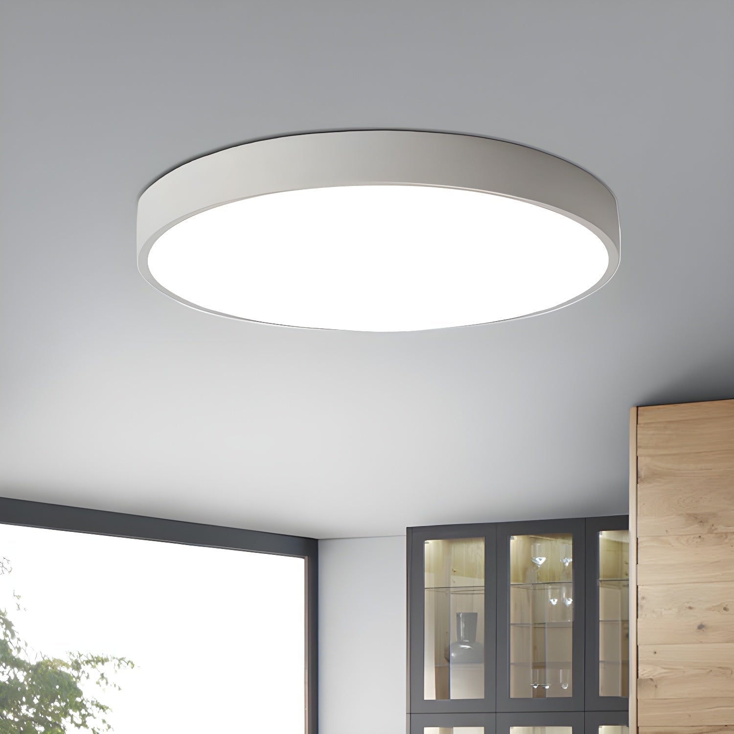 Diso Flat Ceiling Light