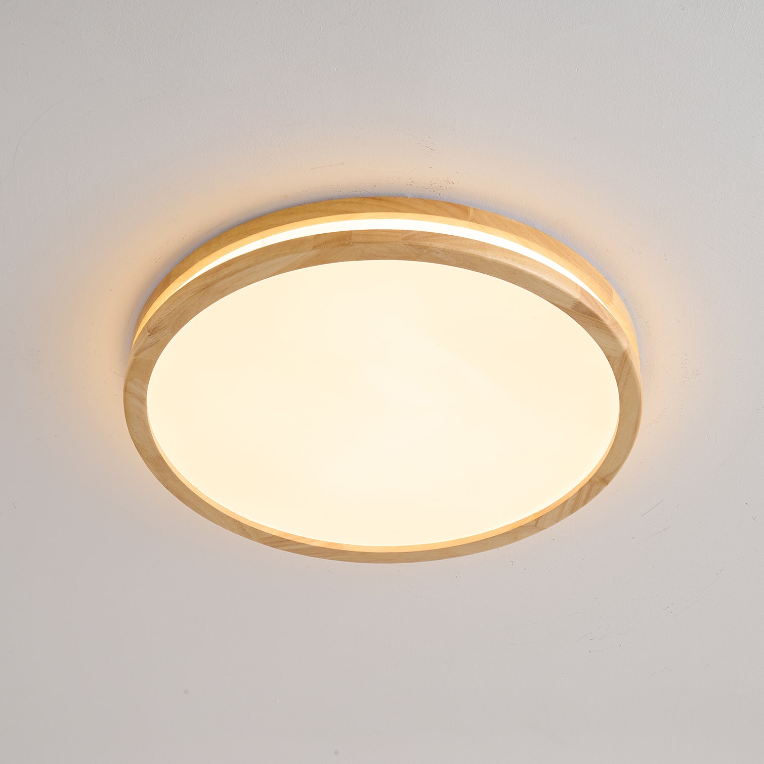 Calisco Ceiling Light