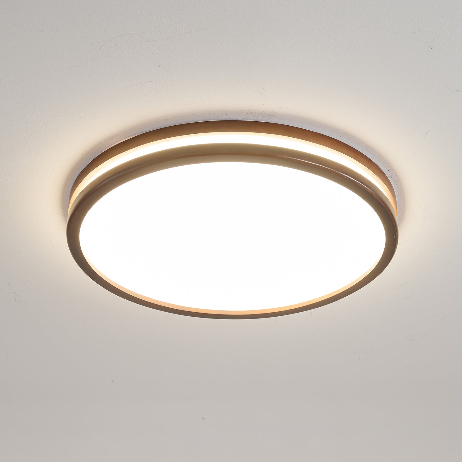 Calisco Ceiling Light