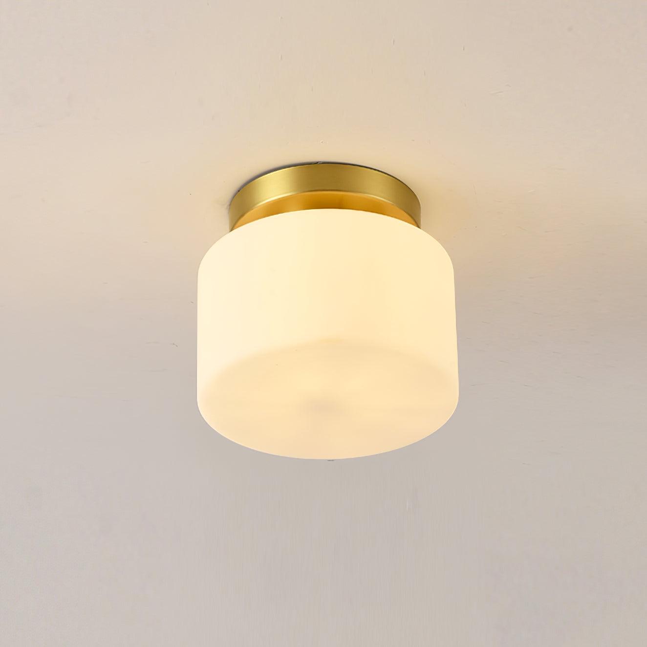 Lumaro Ceiling Light