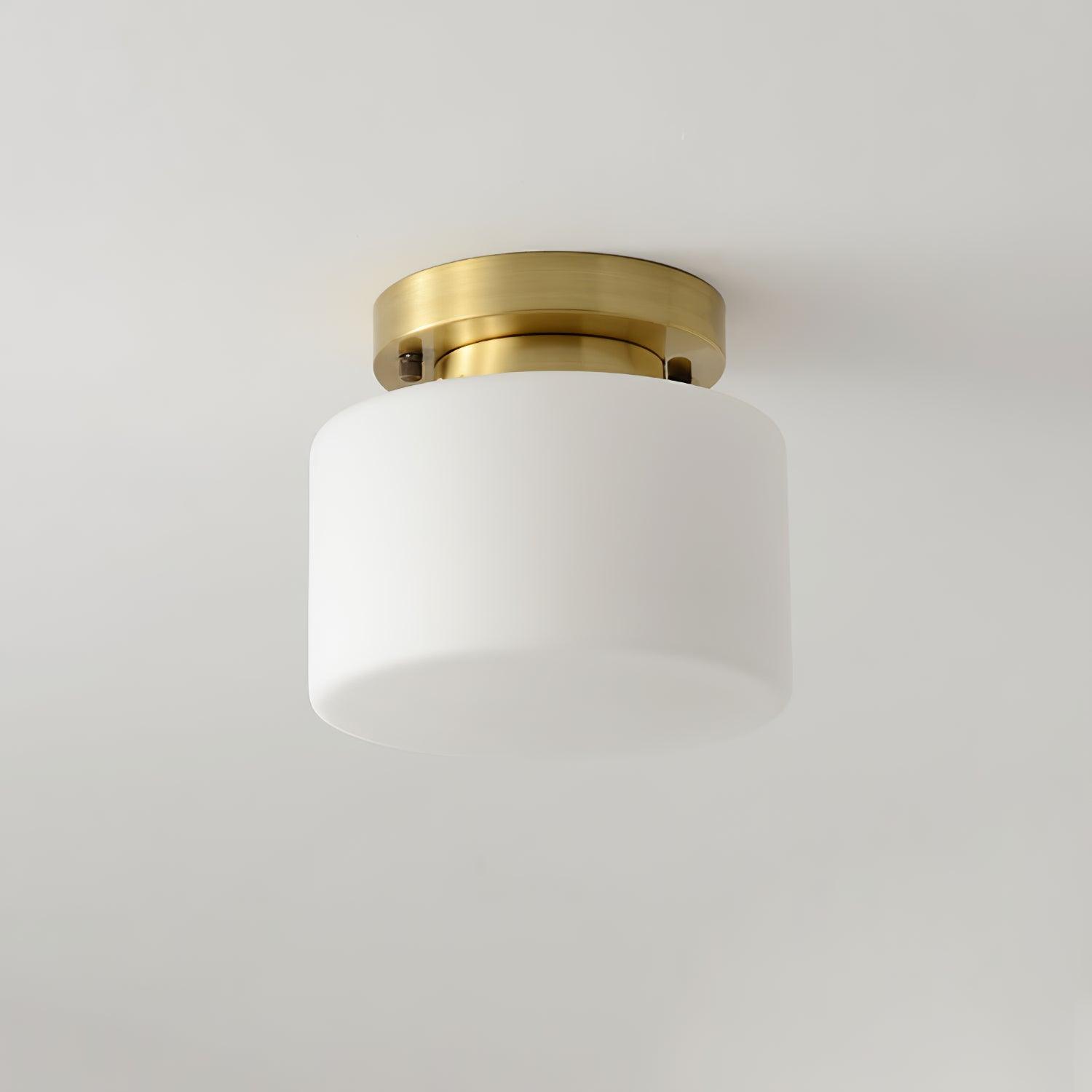Lumaro Ceiling Light