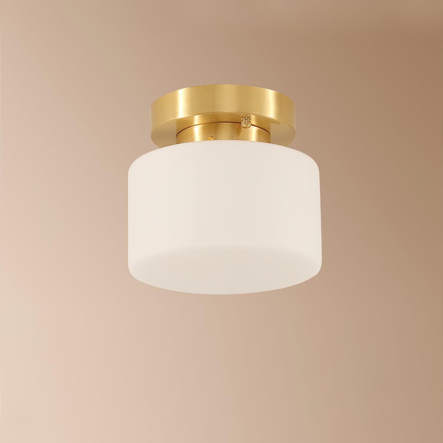 Lumaro Ceiling Light