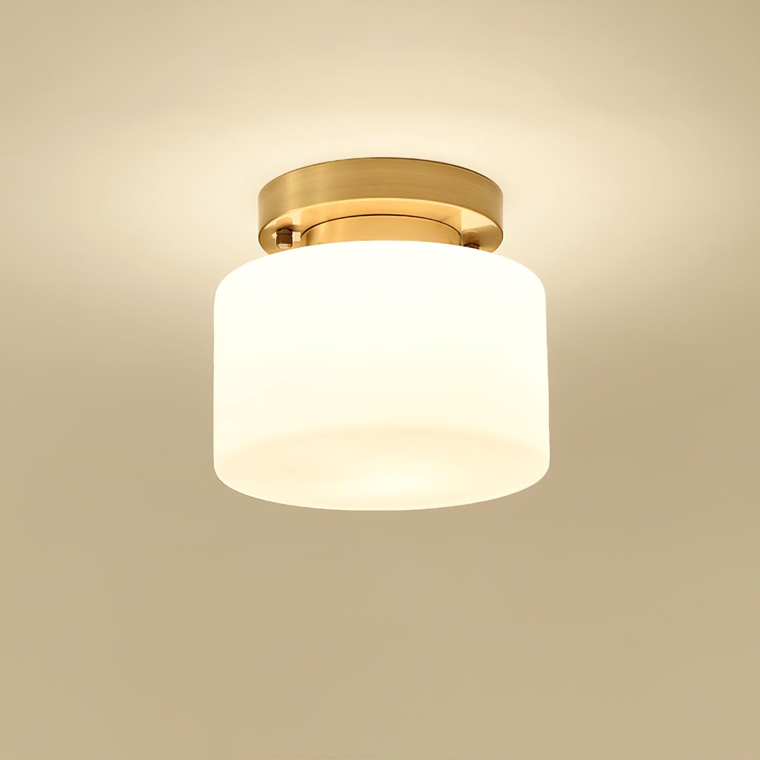 Lumaro Ceiling Light