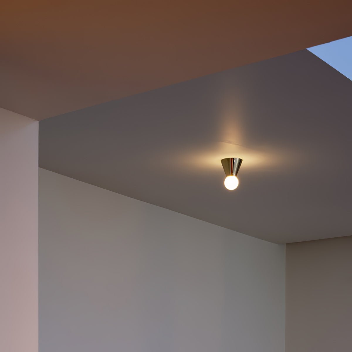 Monic Ceiling Light
