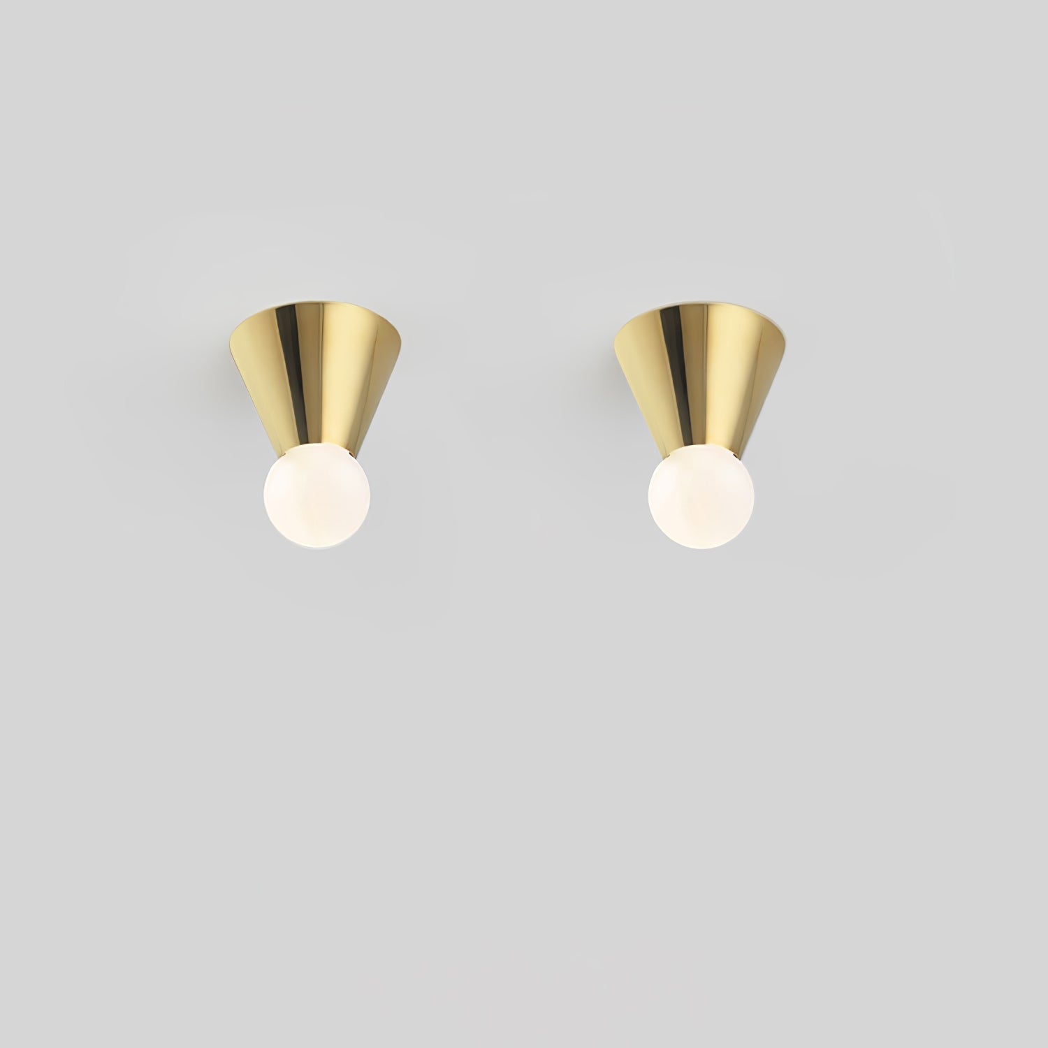 Monic Ceiling Light