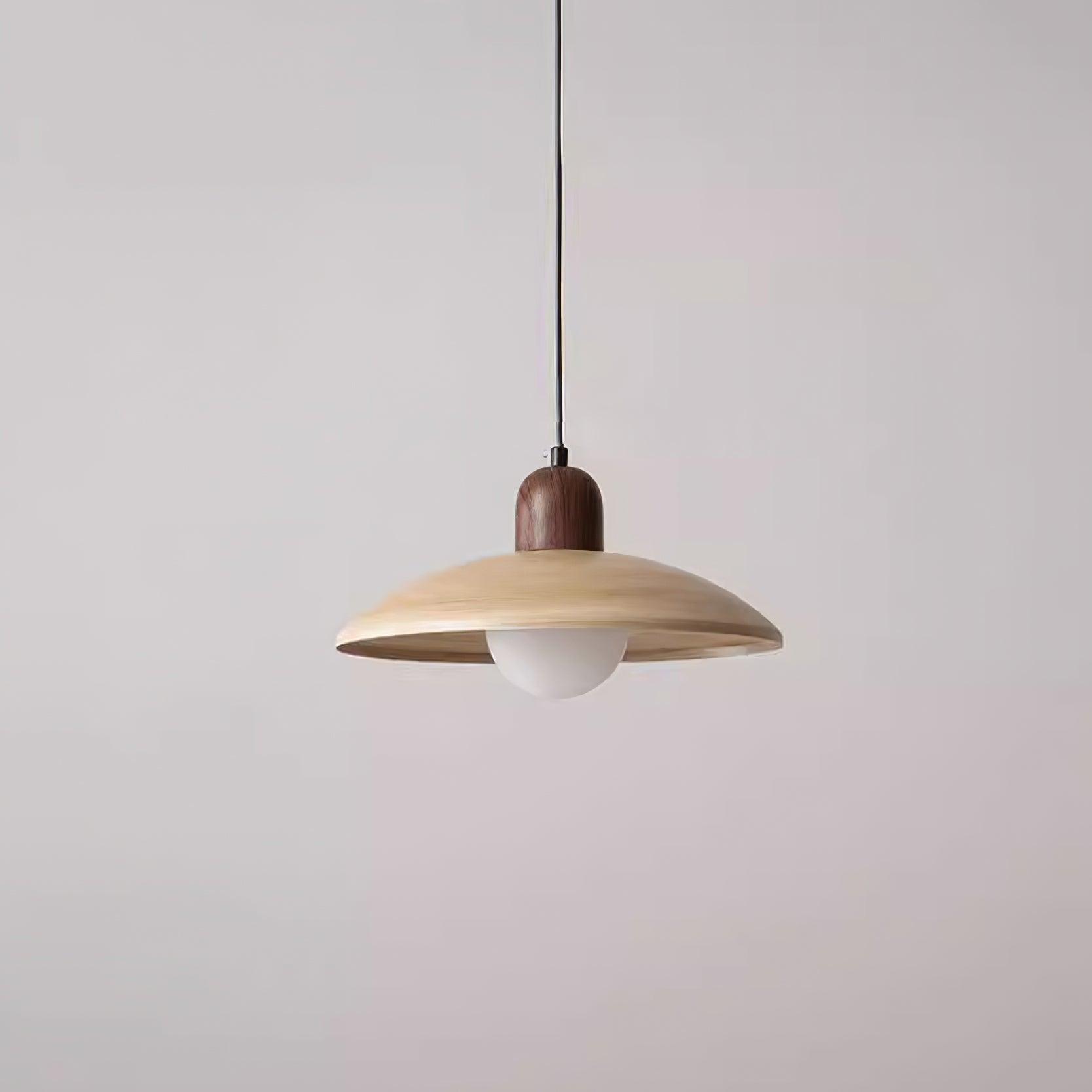 Phyvron Pendant Light