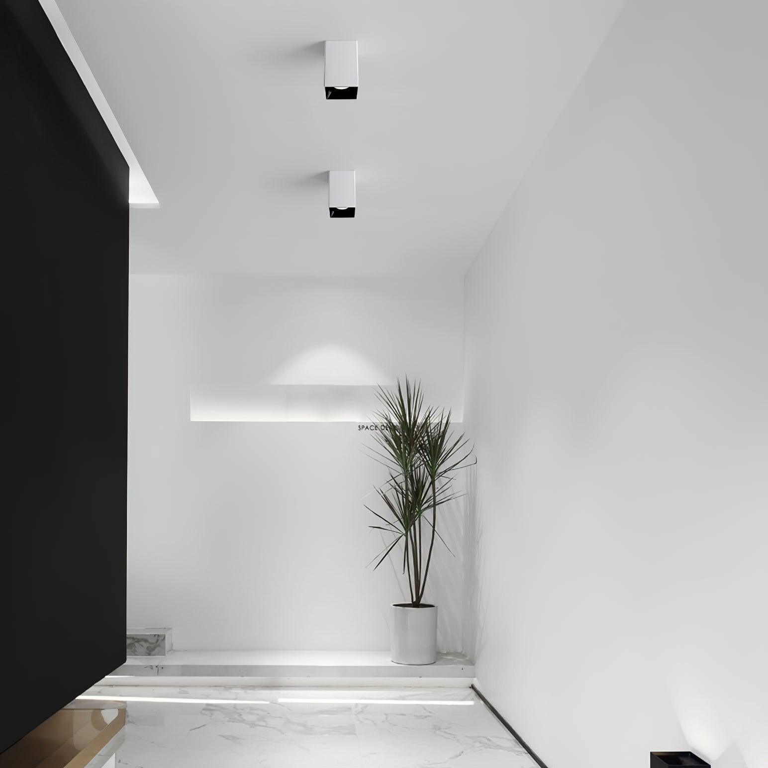 Cublo Ceiling Light