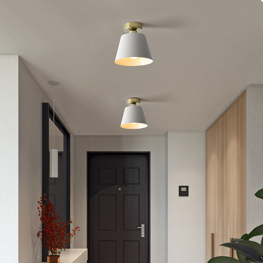 Cinosal Ceiling Light
