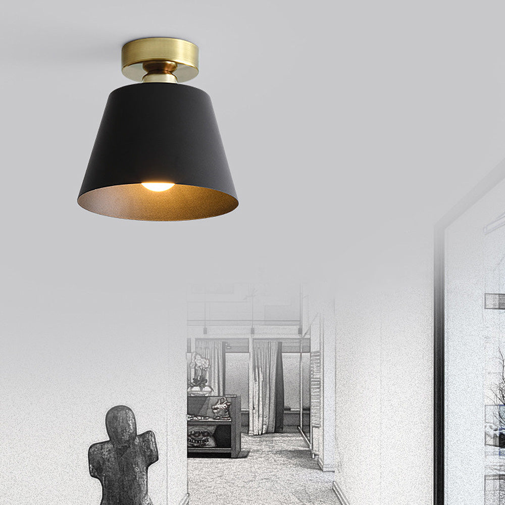Cinosal Ceiling Light
