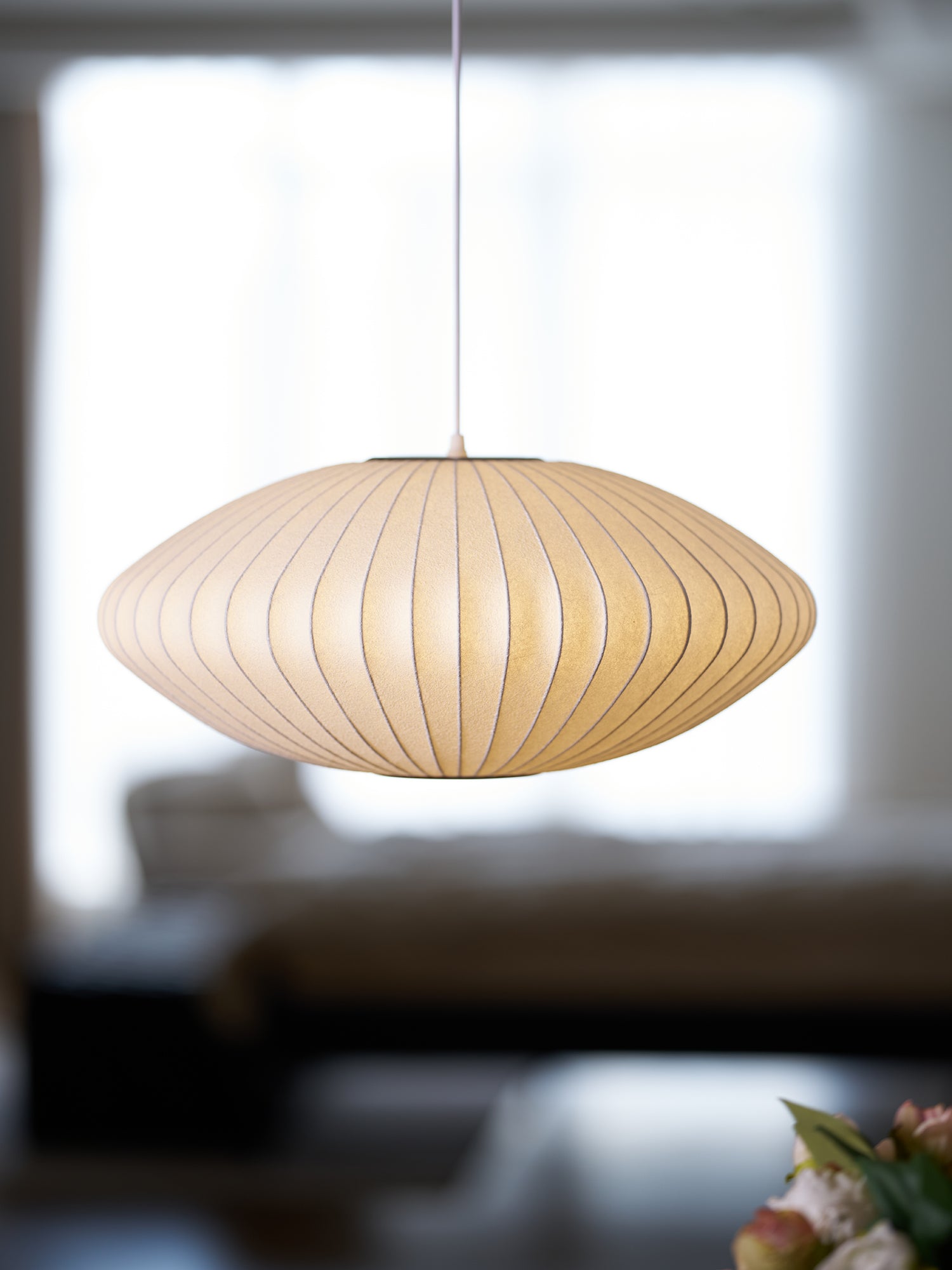 Delin Bubble Pendant Light