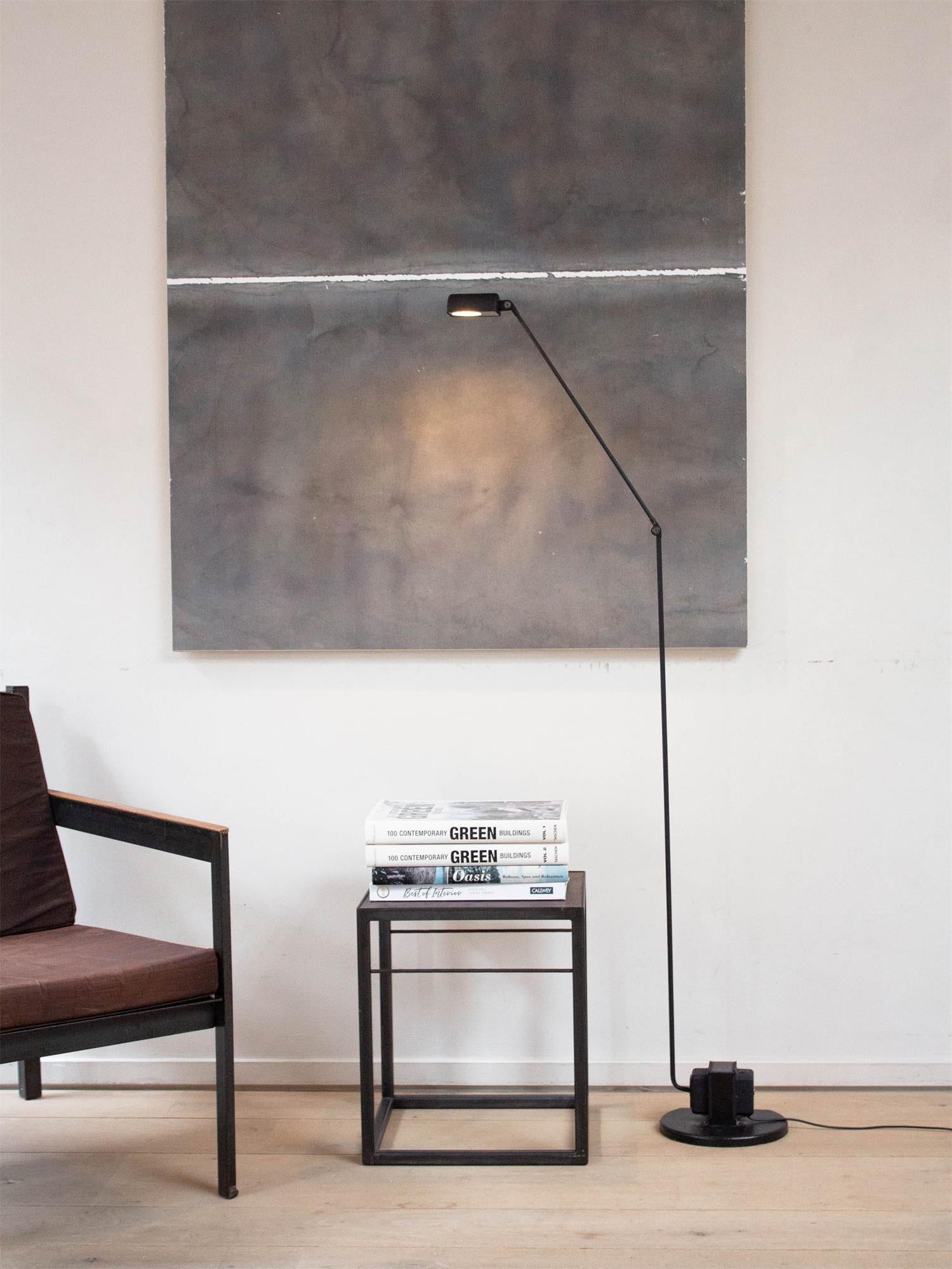 Reneyo Adjustable Floor Lamp