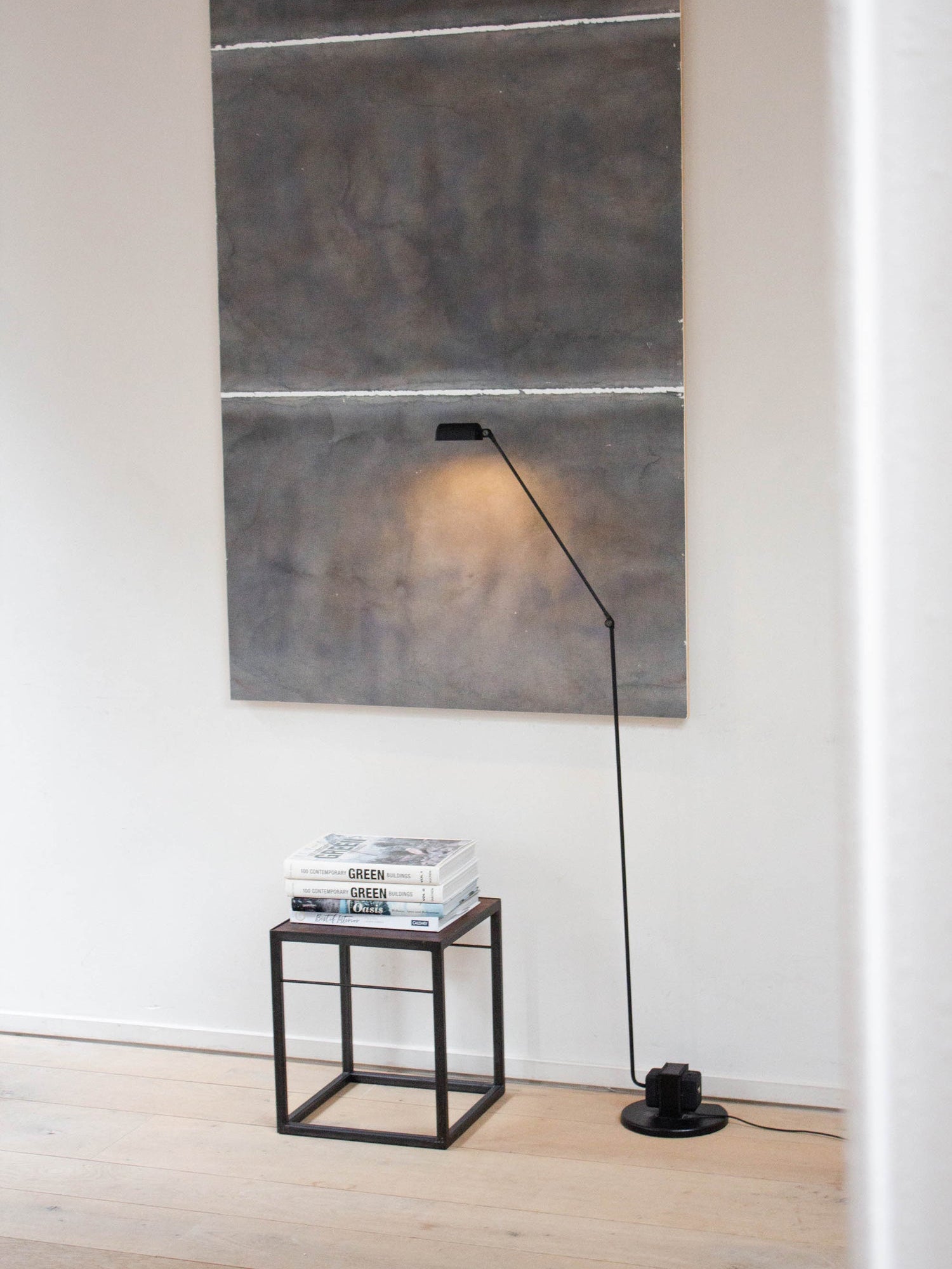 Reneyo Adjustable Floor Lamp