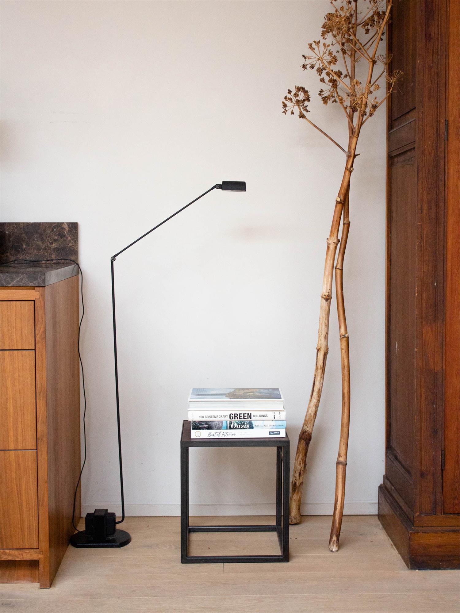 Reneyo Adjustable Floor Lamp
