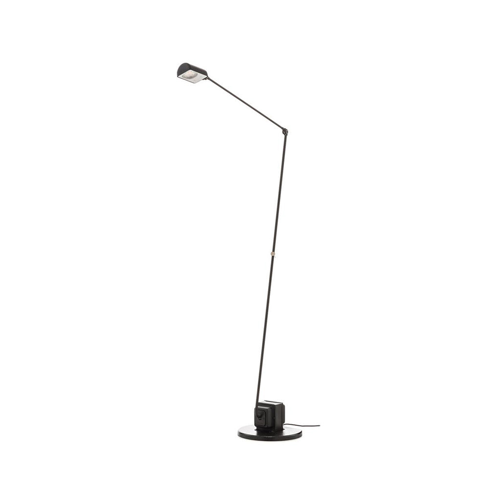 Reneyo Adjustable Floor Lamp
