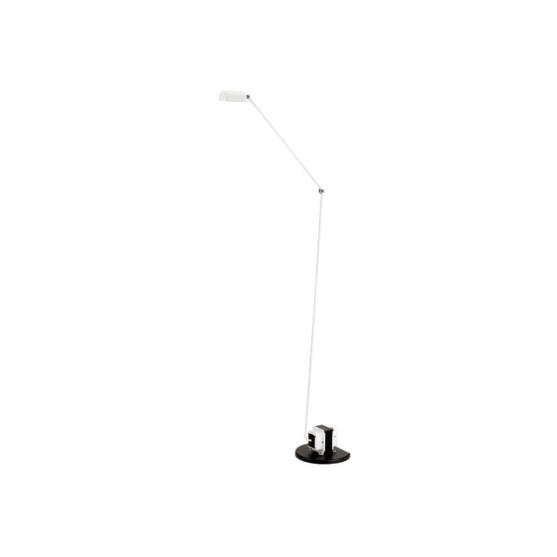 Reneyo Adjustable Floor Lamp