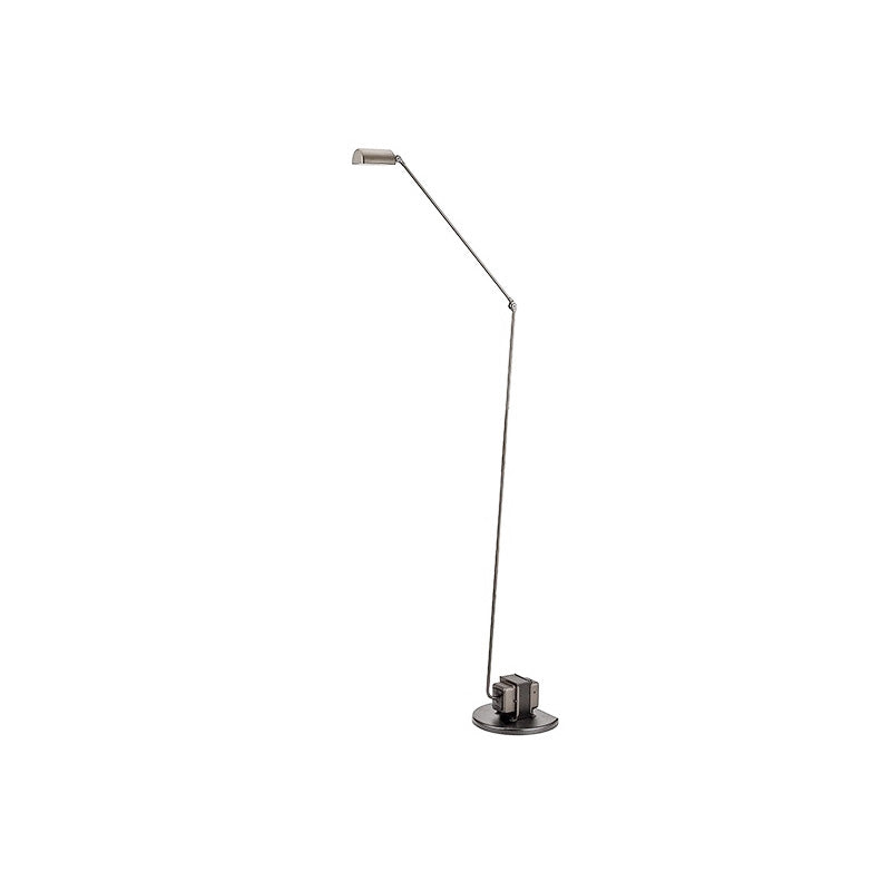 Reneyo Adjustable Floor Lamp