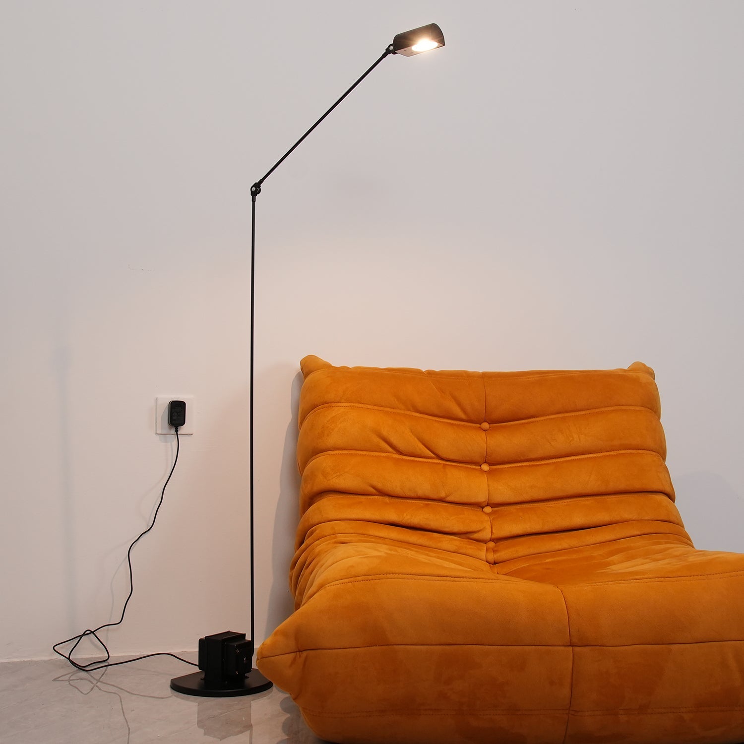 Reneyo Adjustable Floor Lamp
