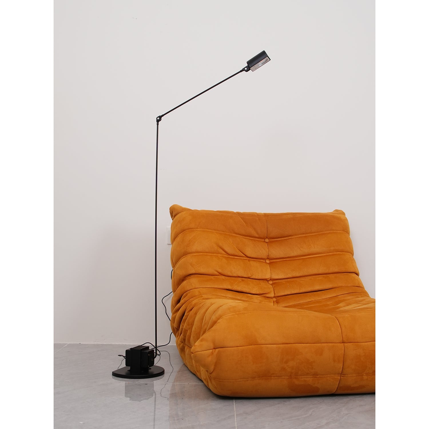 Reneyo Adjustable Floor Lamp