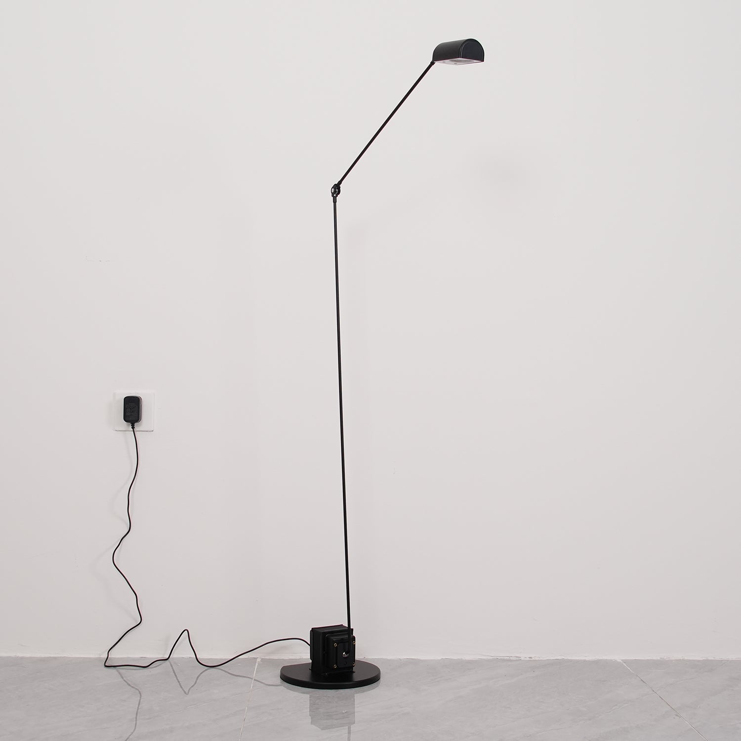 Reneyo Adjustable Floor Lamp
