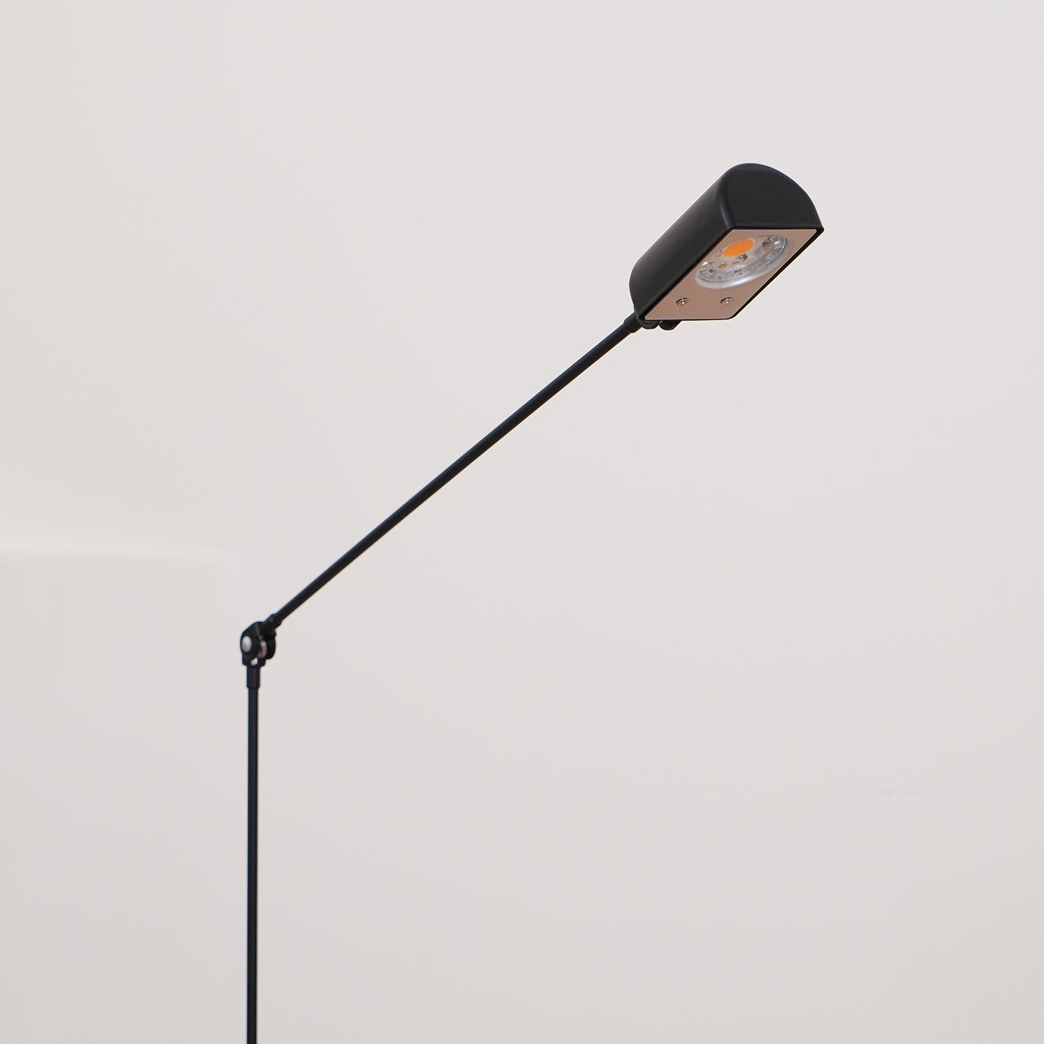 Reneyo Adjustable Floor Lamp