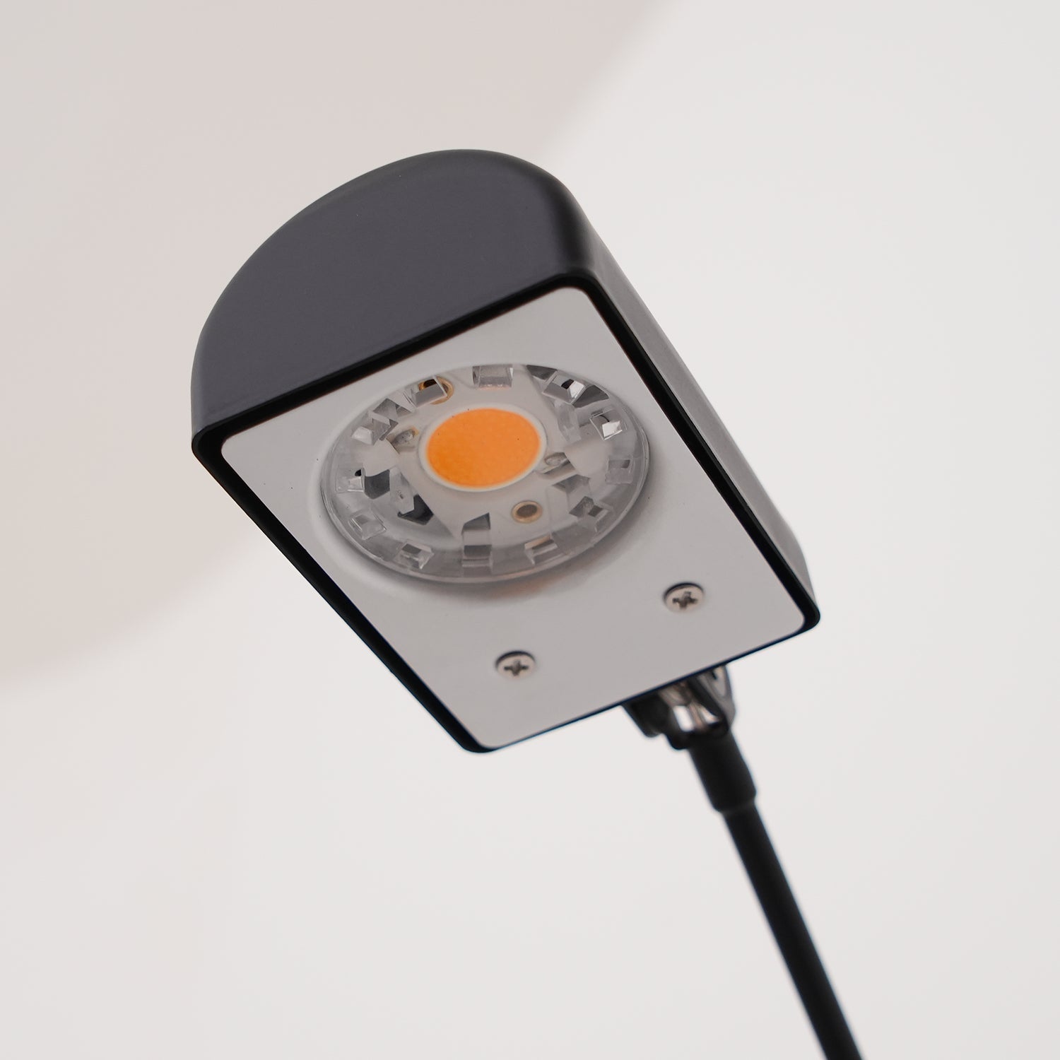 Reneyo Adjustable Floor Lamp