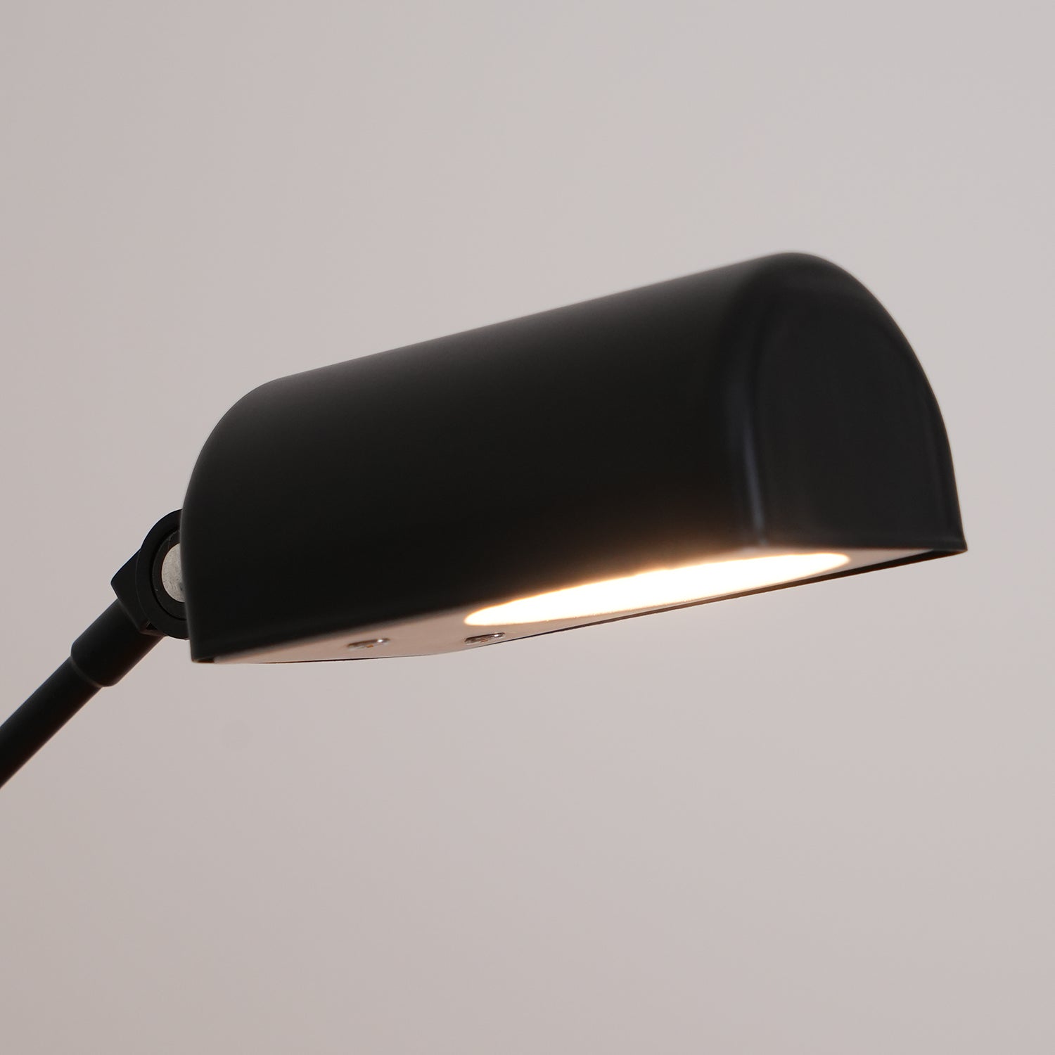 Reneyo Adjustable Floor Lamp