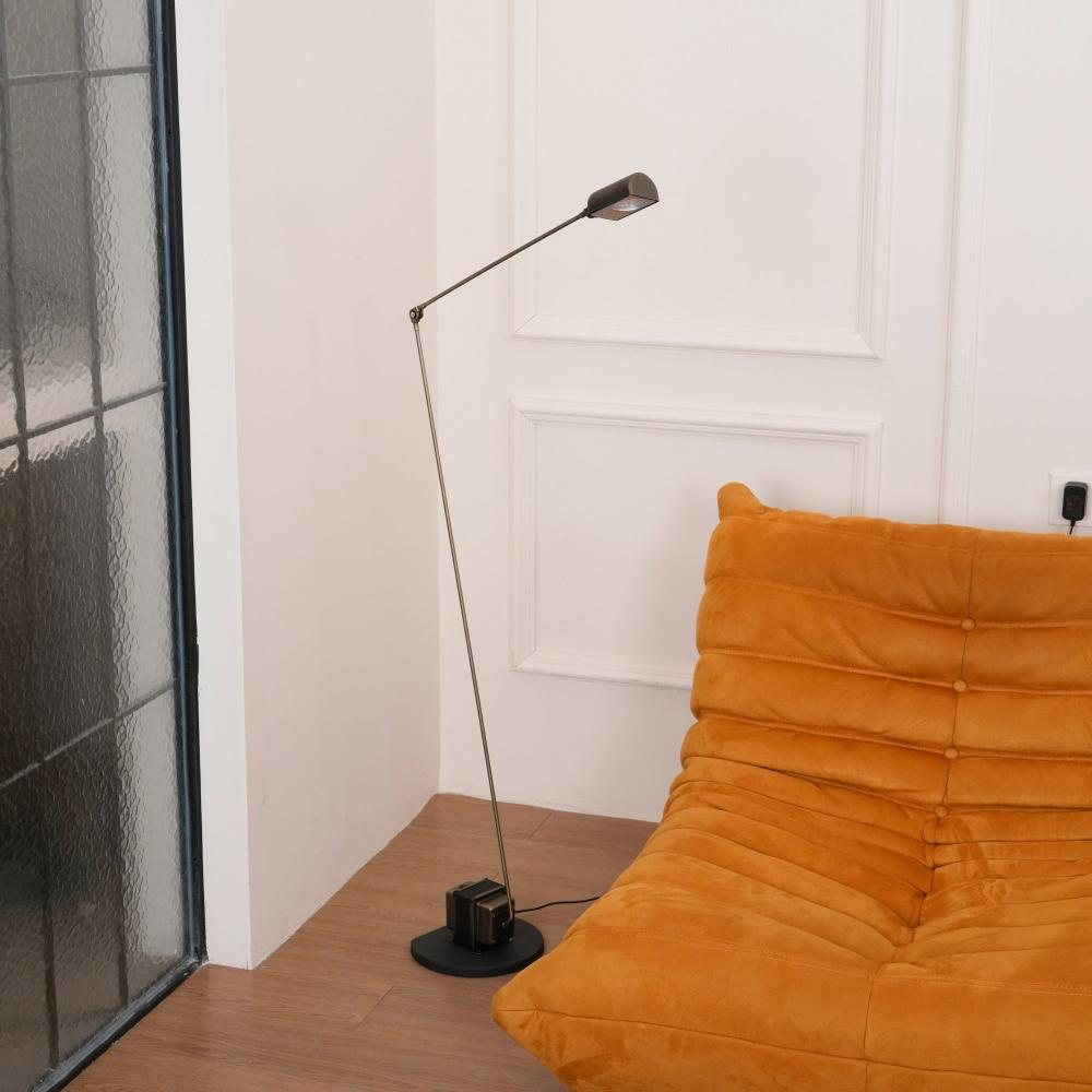 Reneyo Adjustable Floor Lamp