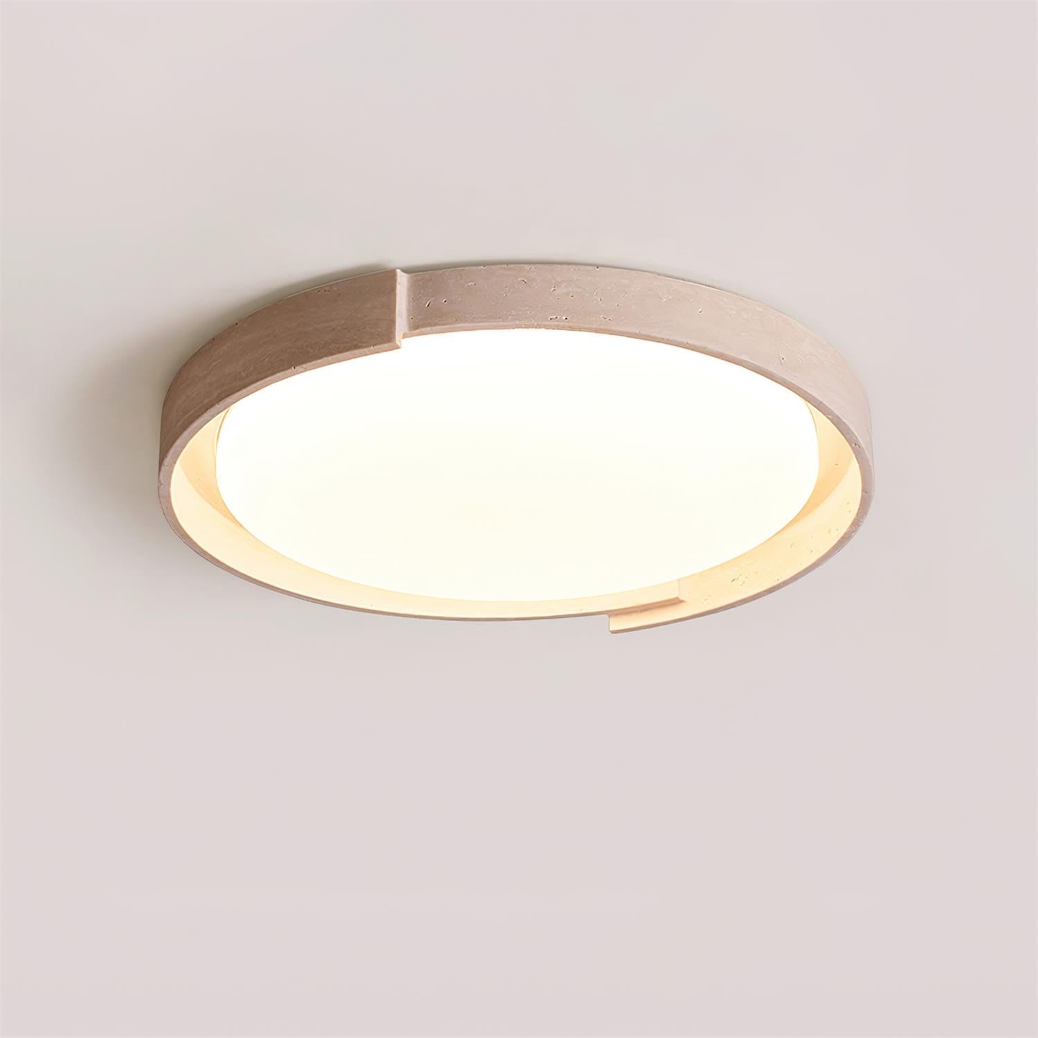 Delzay Ceiling Light