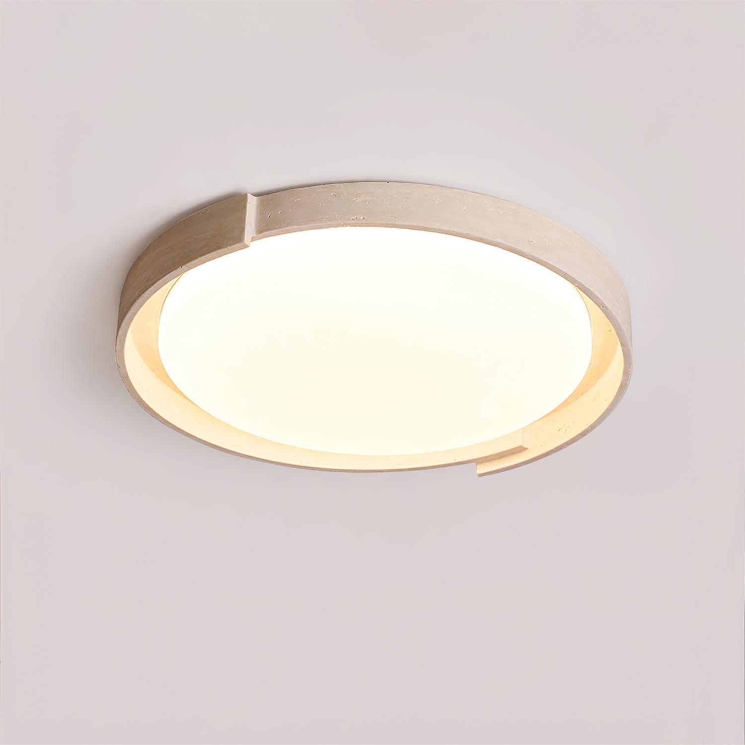 Delzay Ceiling Light