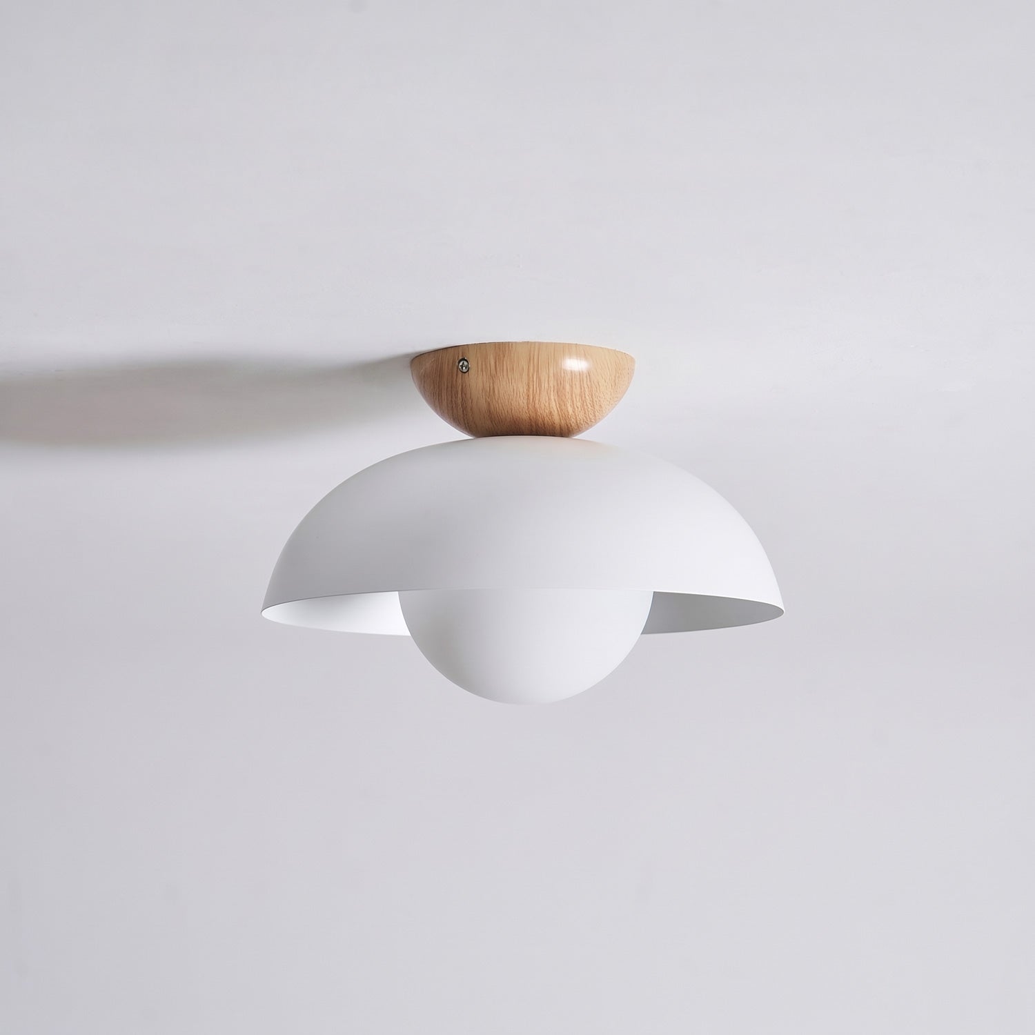 Merrarley Ceiling Light