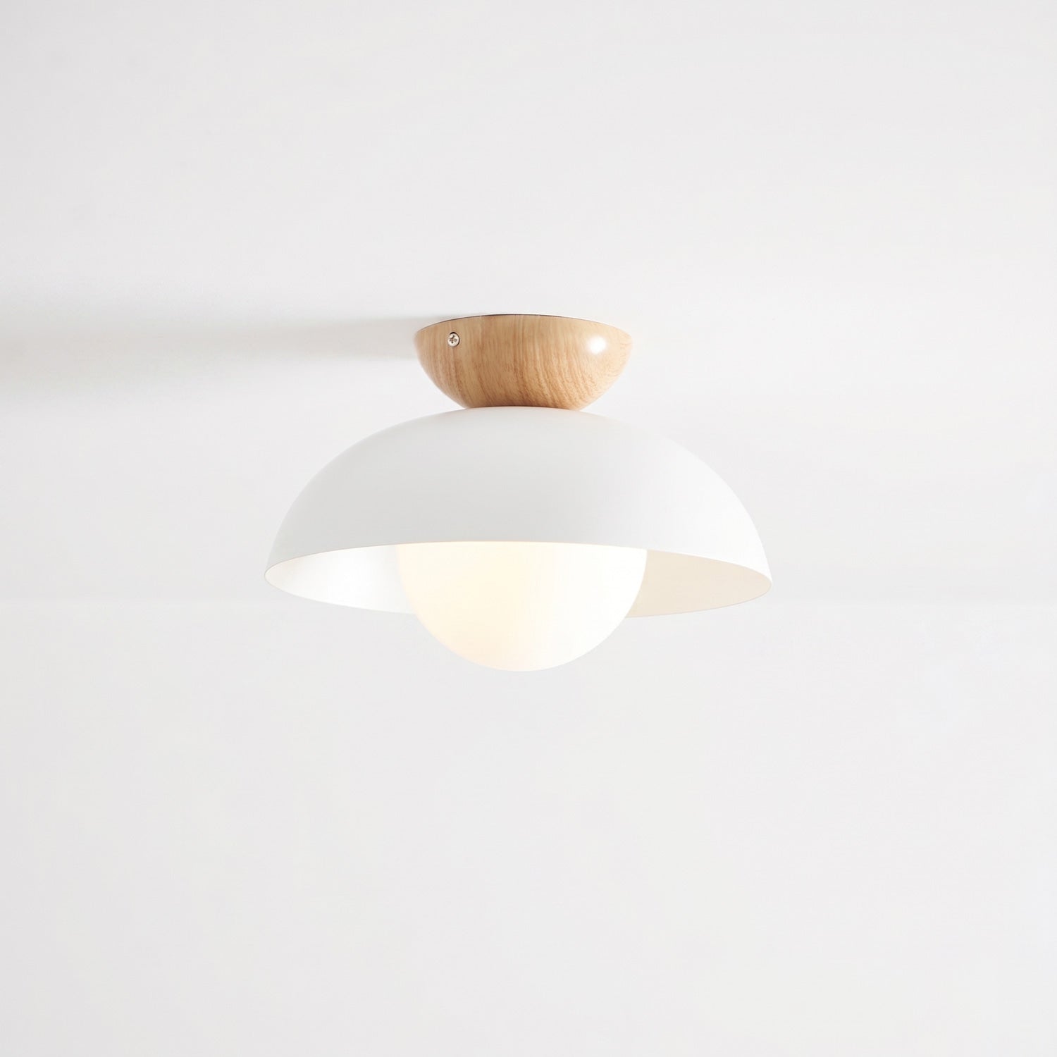Merrarley Ceiling Light