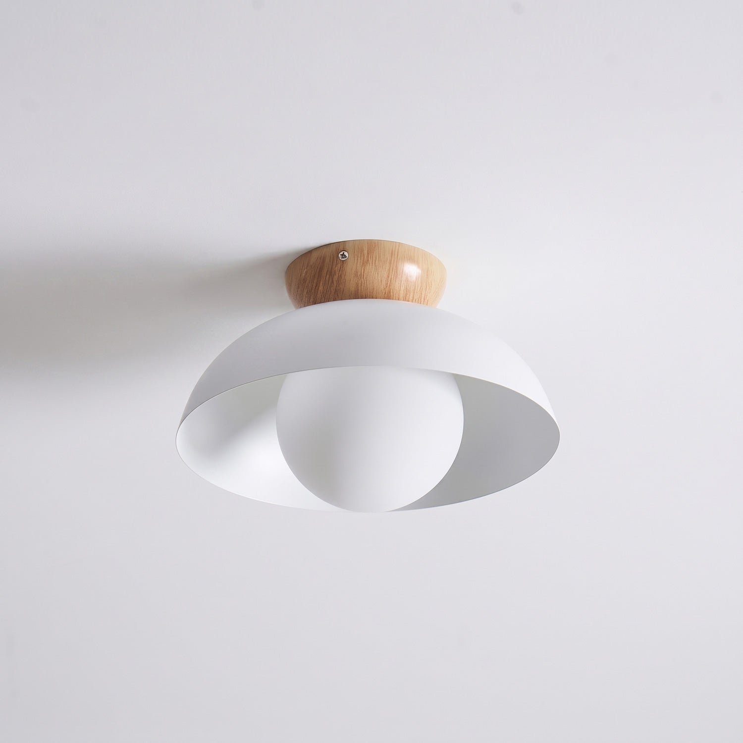 Merrarley Ceiling Light