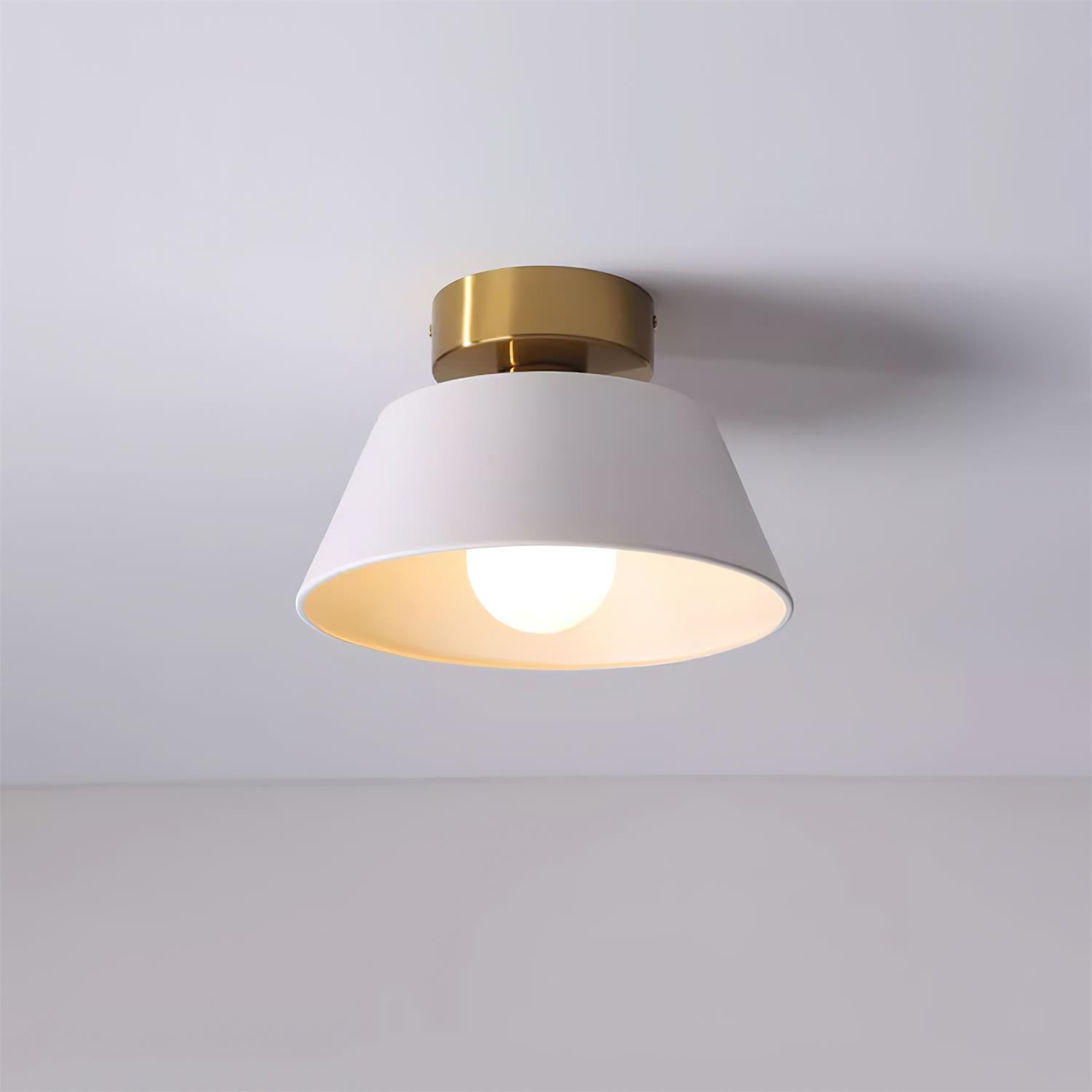 Lesco Ceiling Light