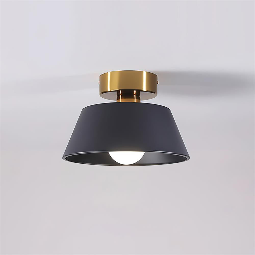 Lesco Ceiling Light