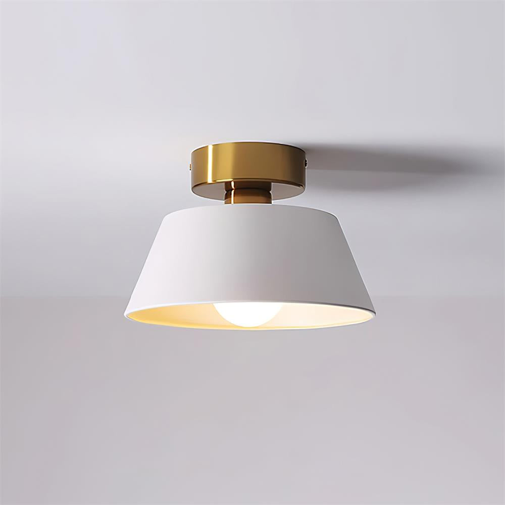 Lesco Ceiling Light