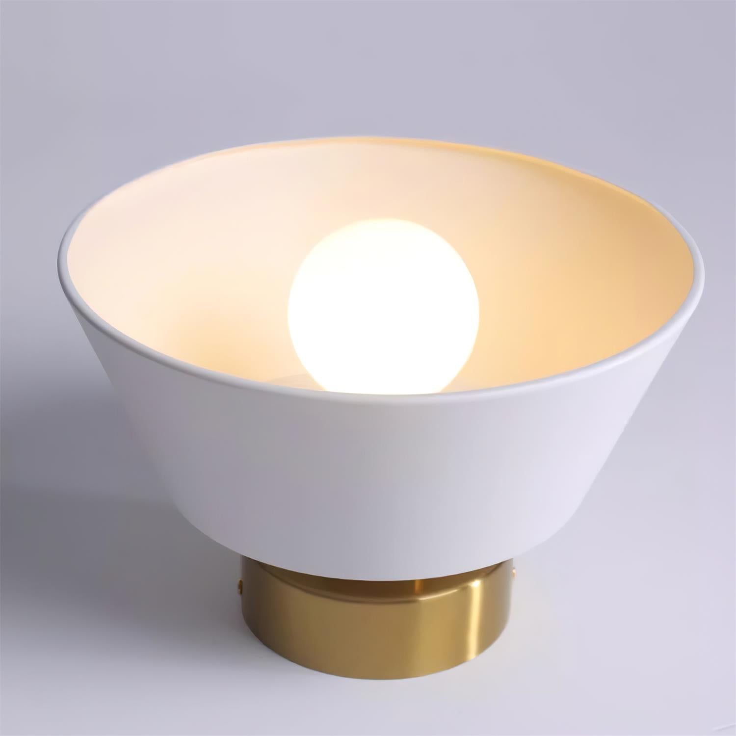 Lesco Ceiling Light