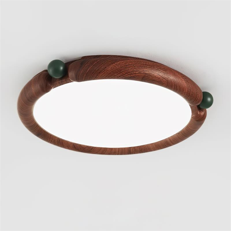 Dimmy Ceiling Light