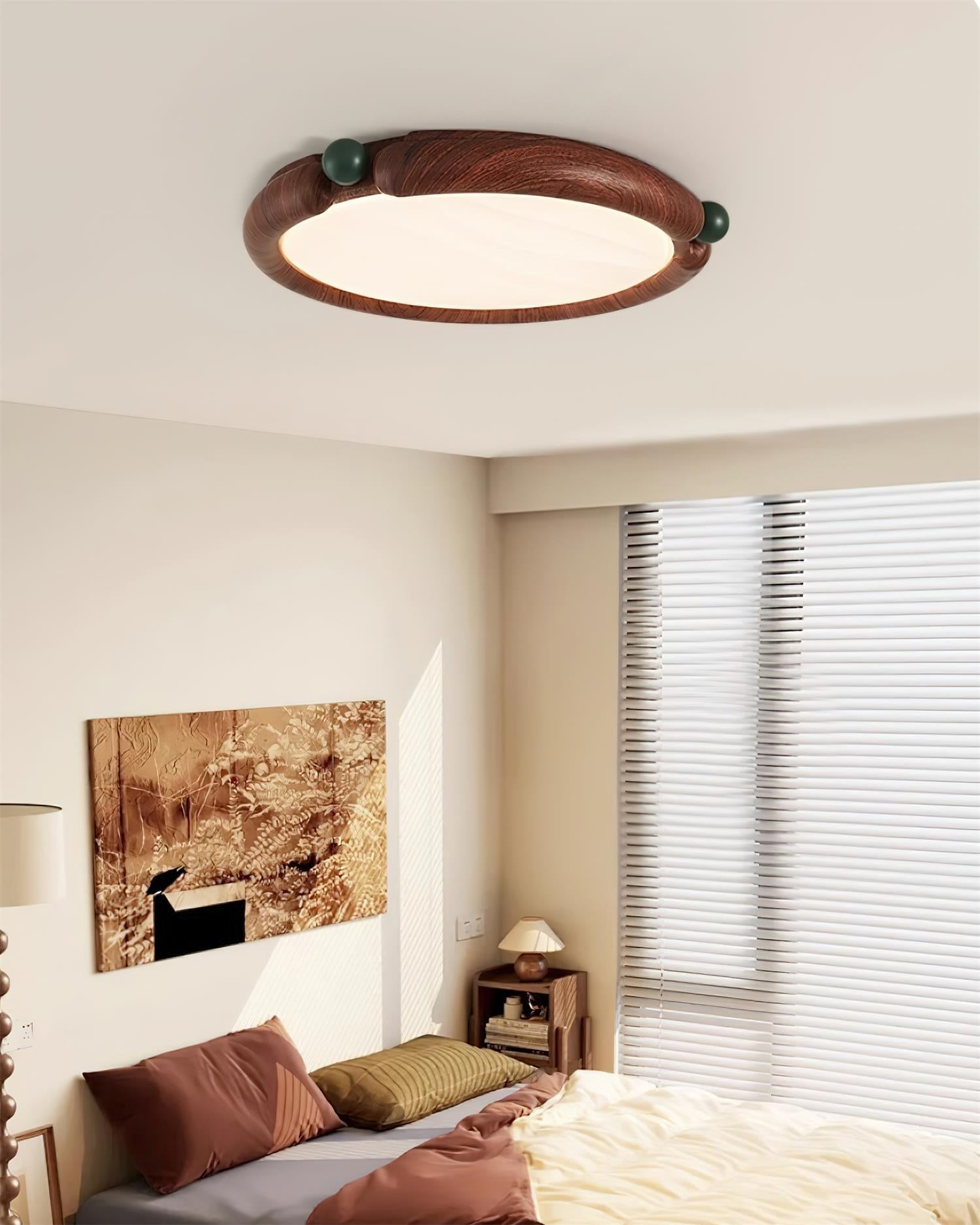 Dimmy Ceiling Light