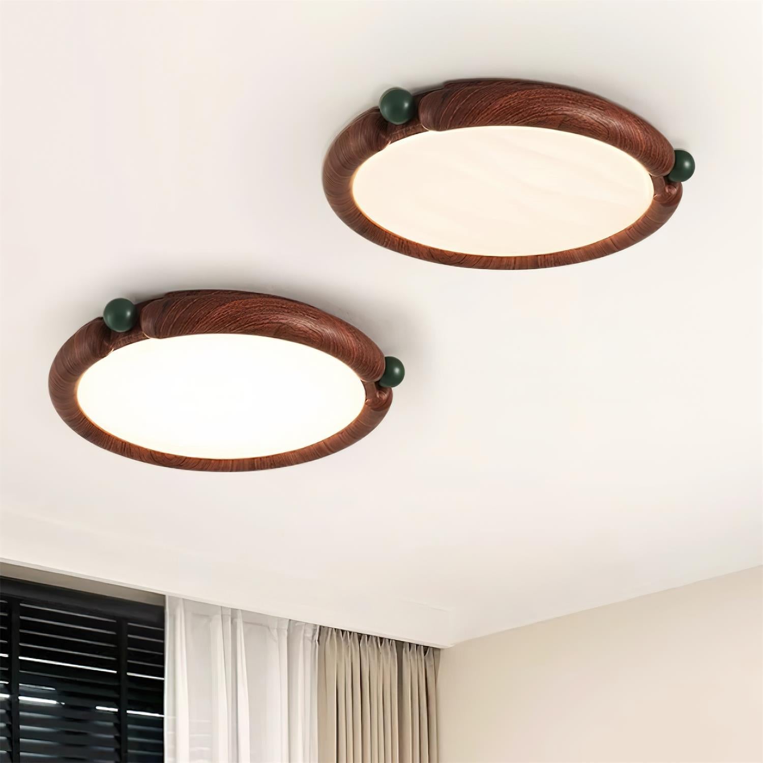 Dimmy Ceiling Light
