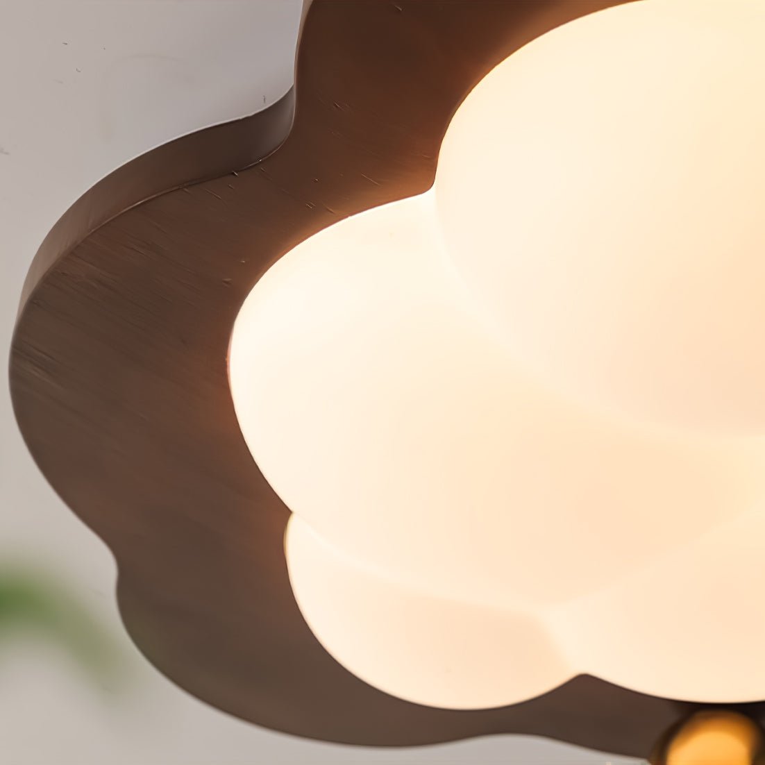 Colfezza Ceiling Light